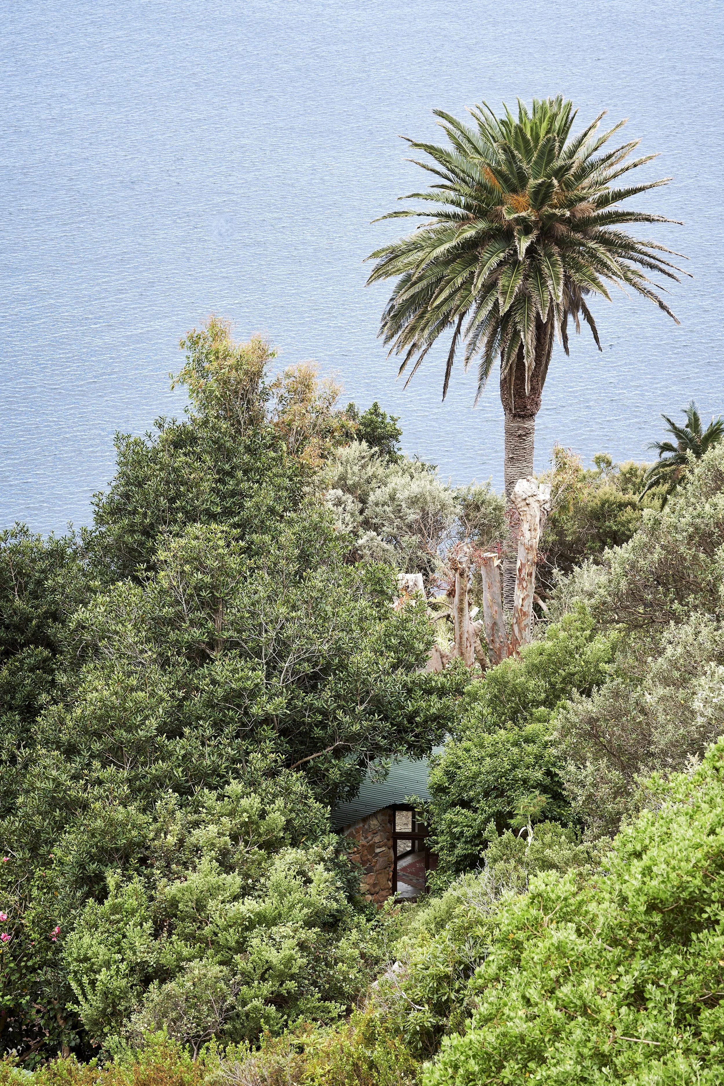 The Afro-Montaine forest at the Getaway