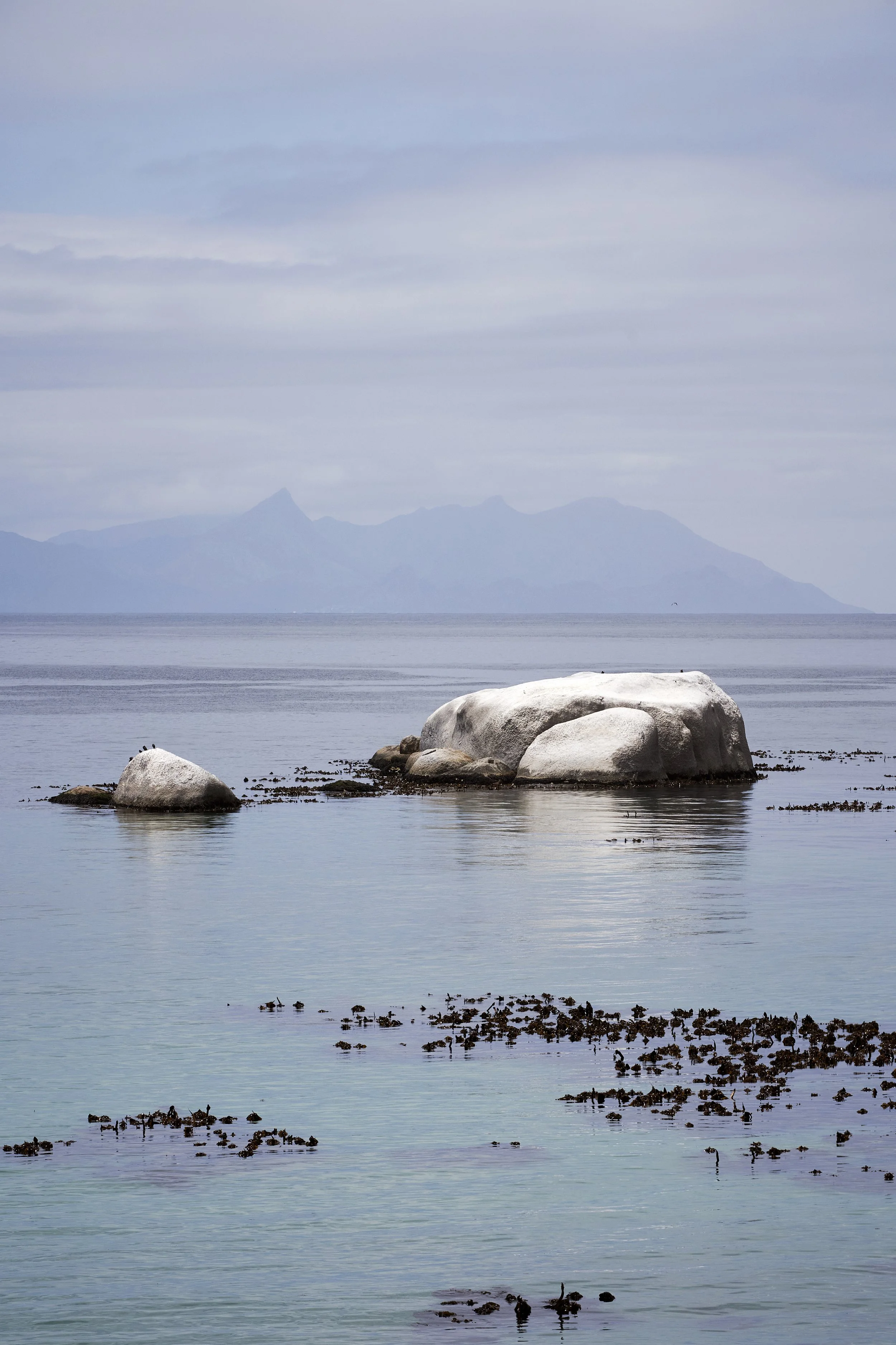 Idyllic diving conditions