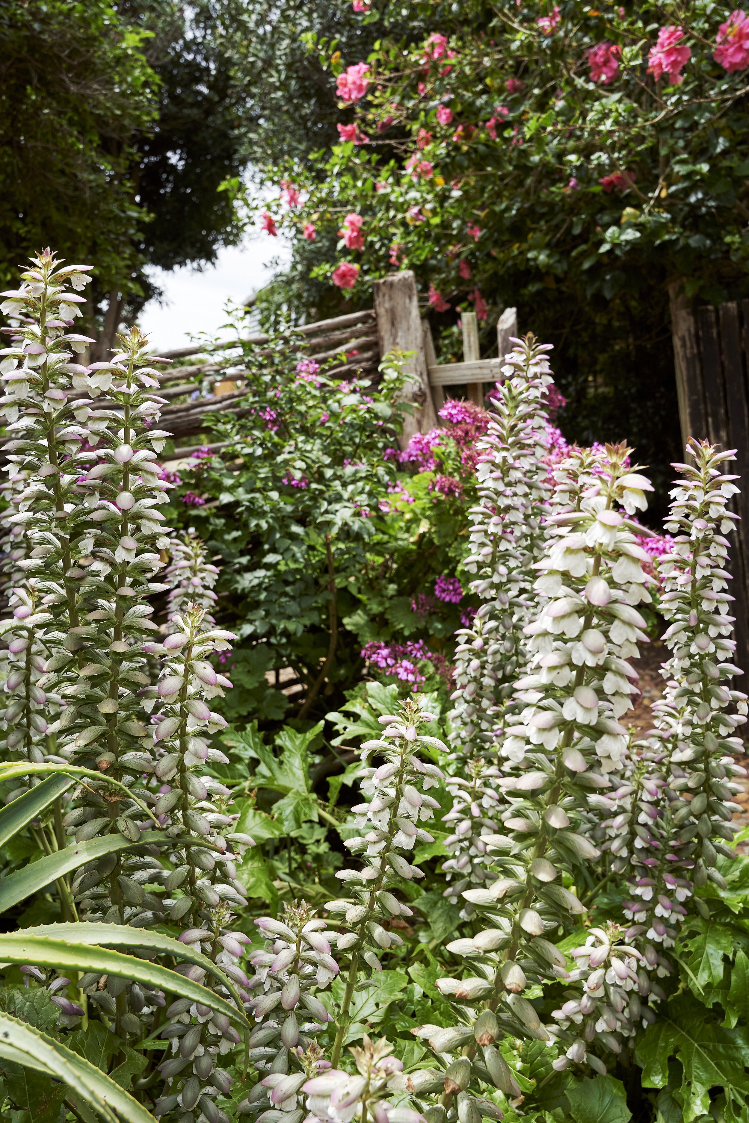Garden outside the Stone Cottage