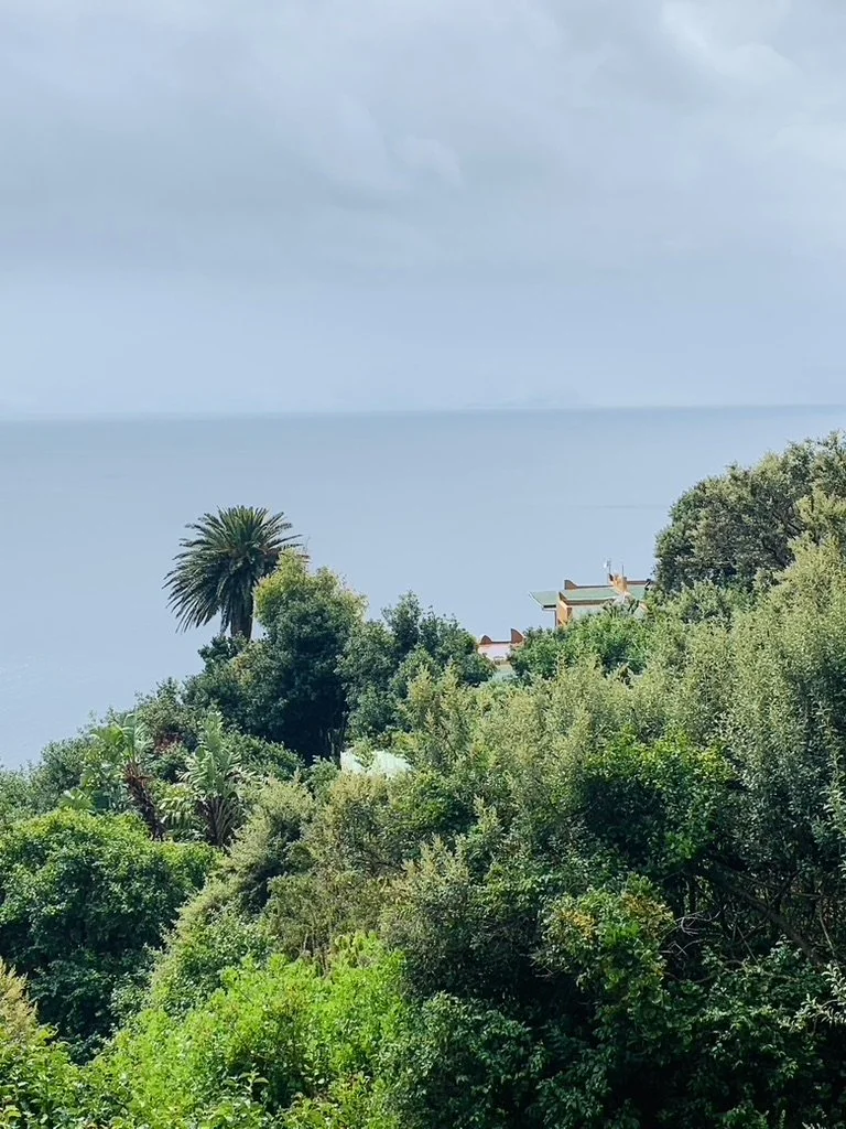 The Getaway Sits on the Edge of a Rehabilitated Afro-Montane Forest