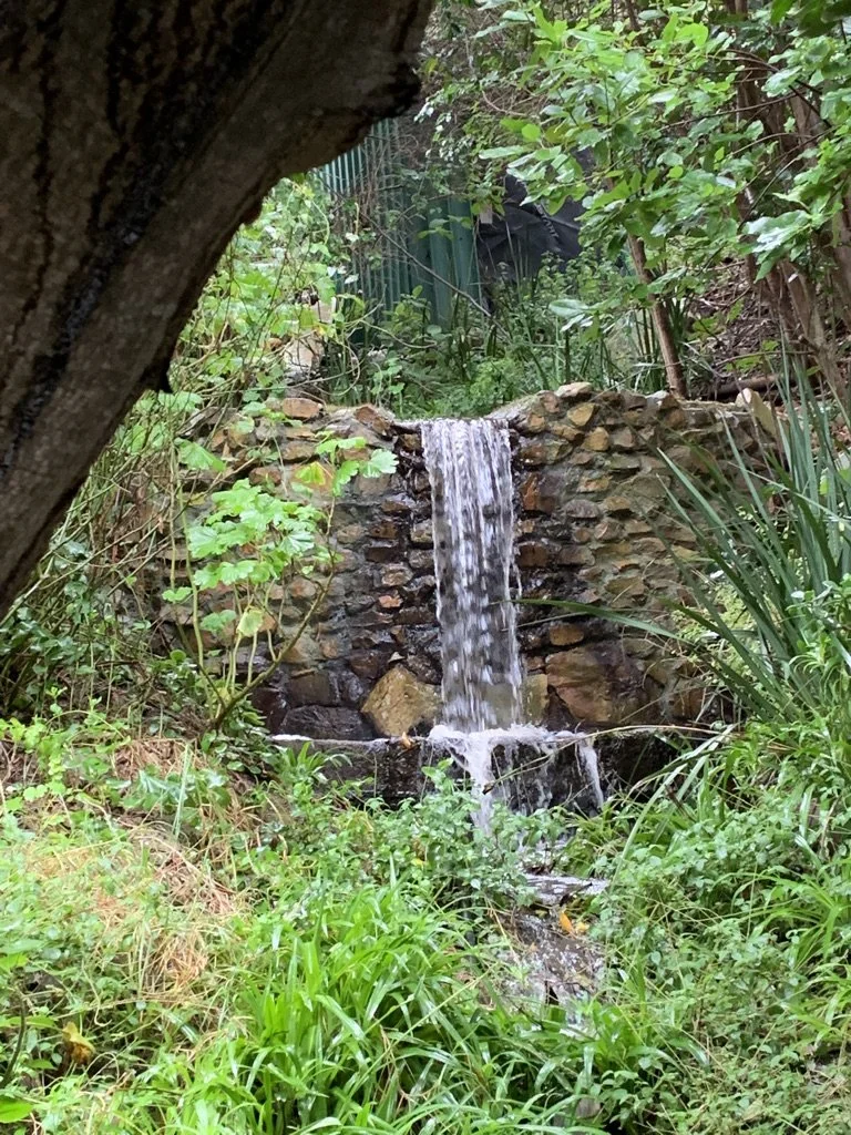 Mid-Winter Mountain Stream Flows Past the Getaway