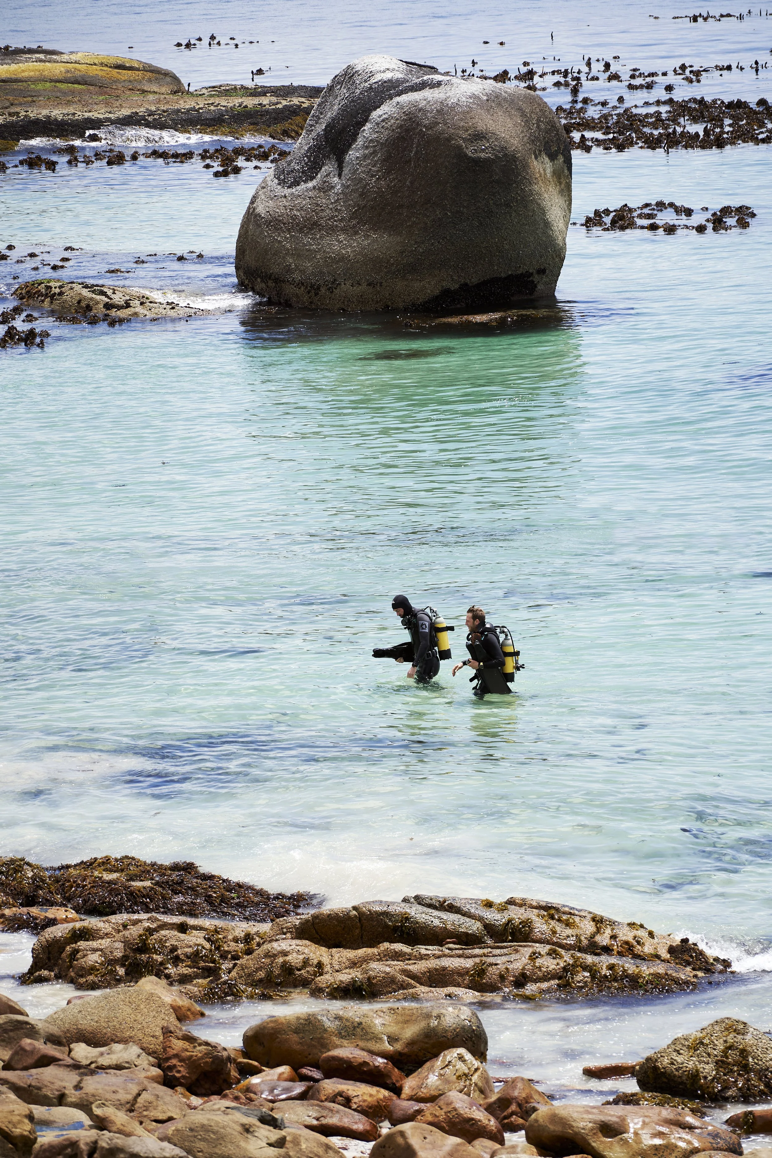 Diving at Fishermans