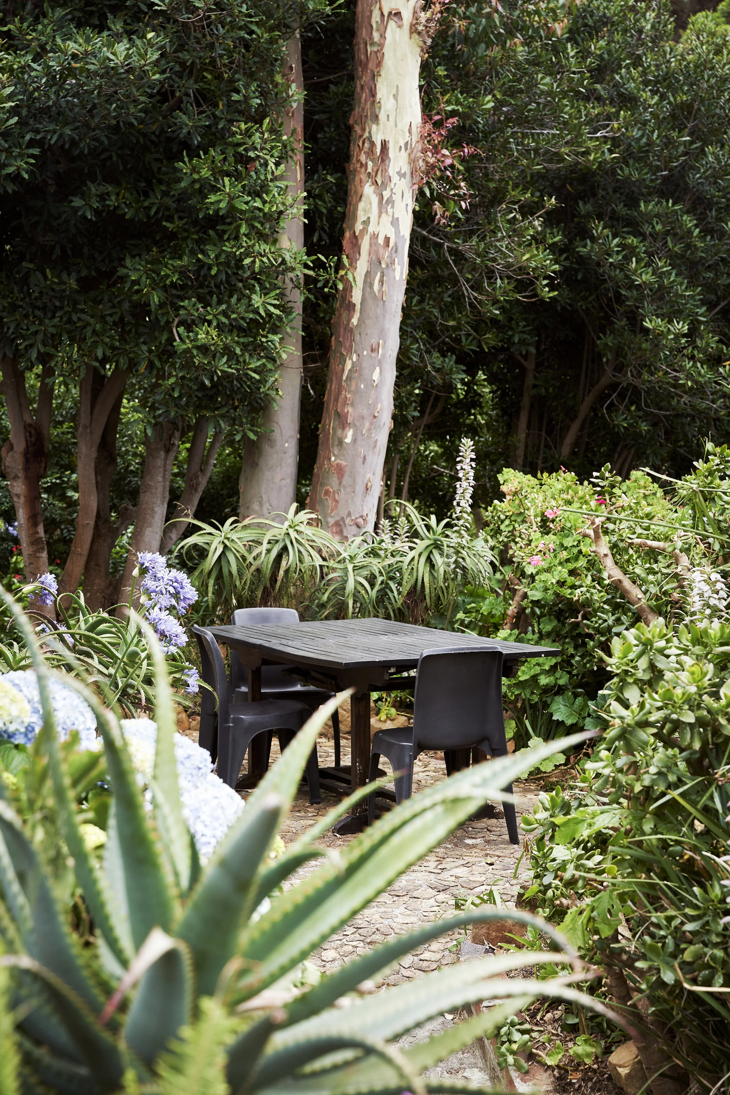 Outside the Stone Cottage