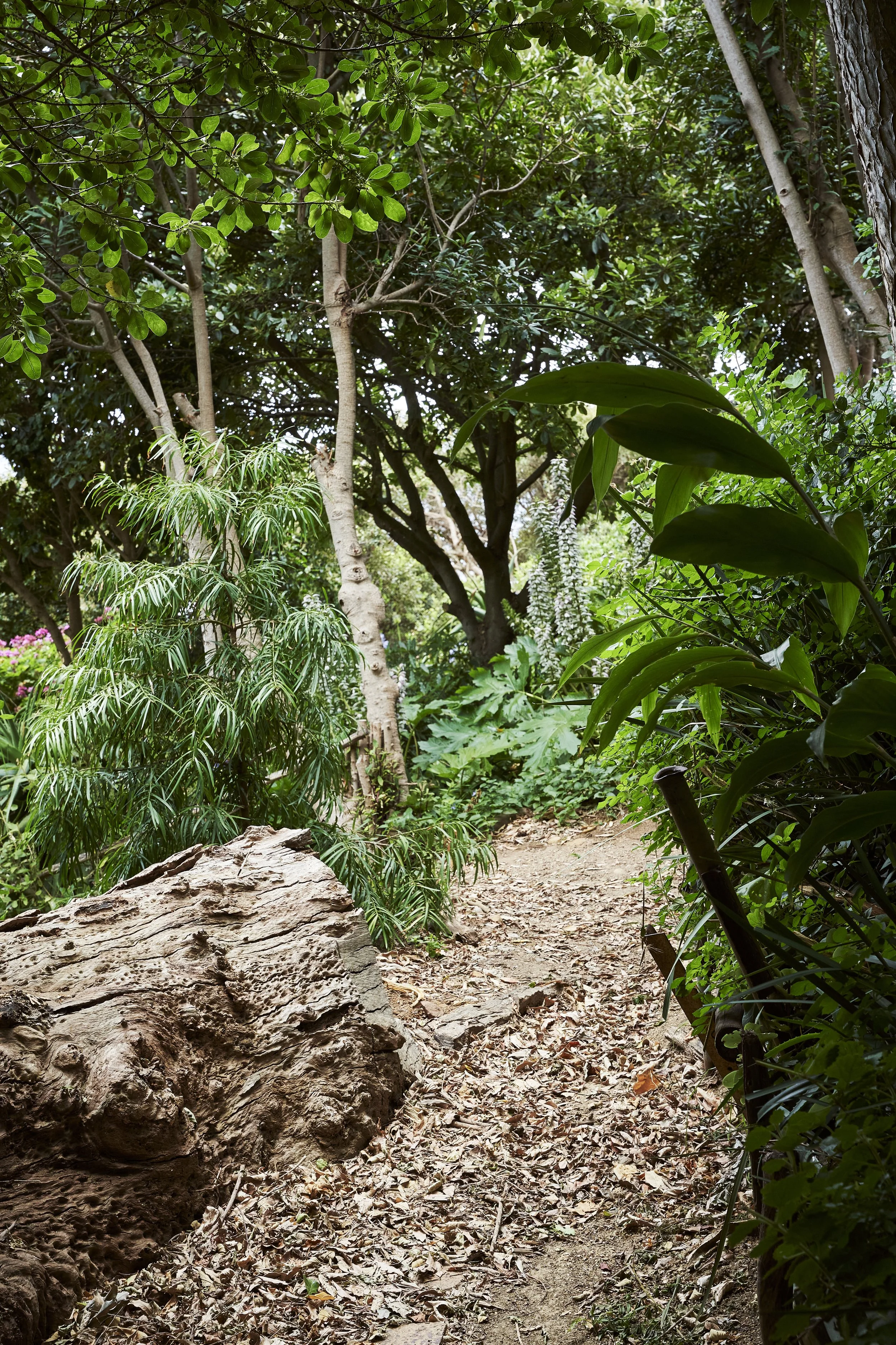 Garden at the Getaway