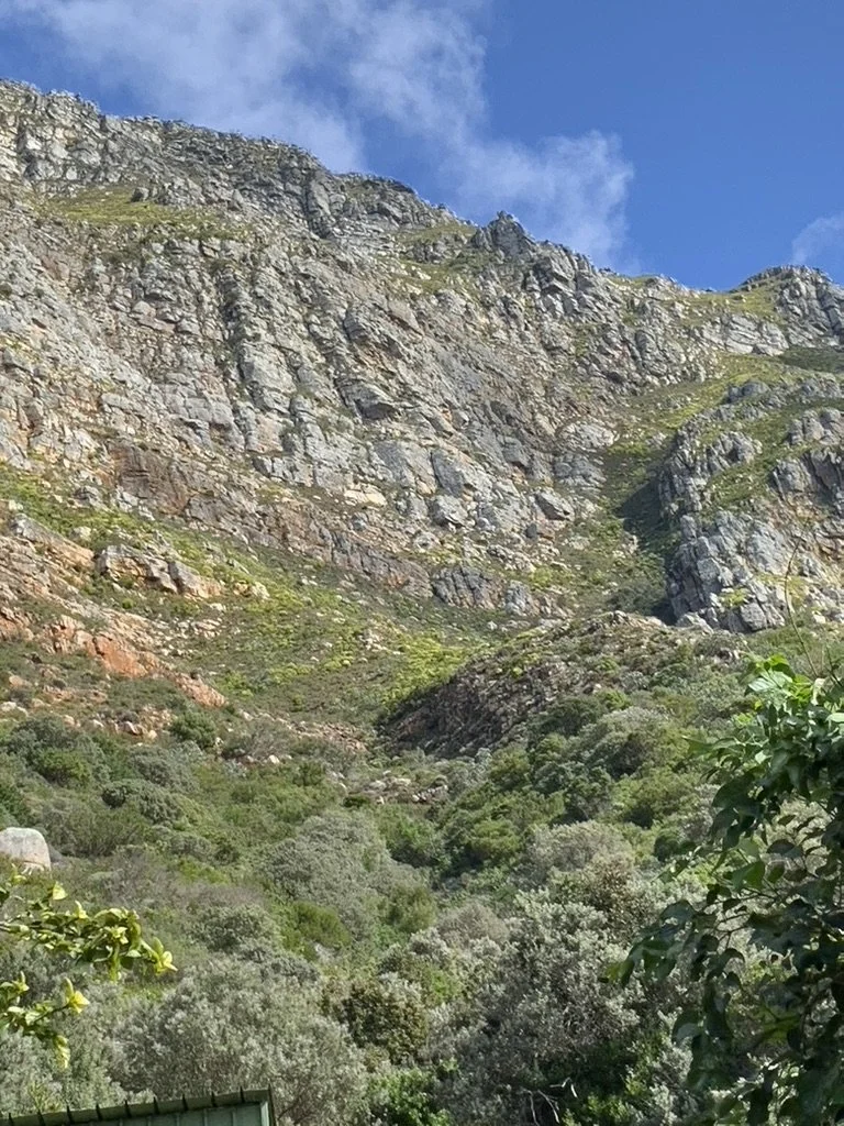 A Mountain in Your Backyard
