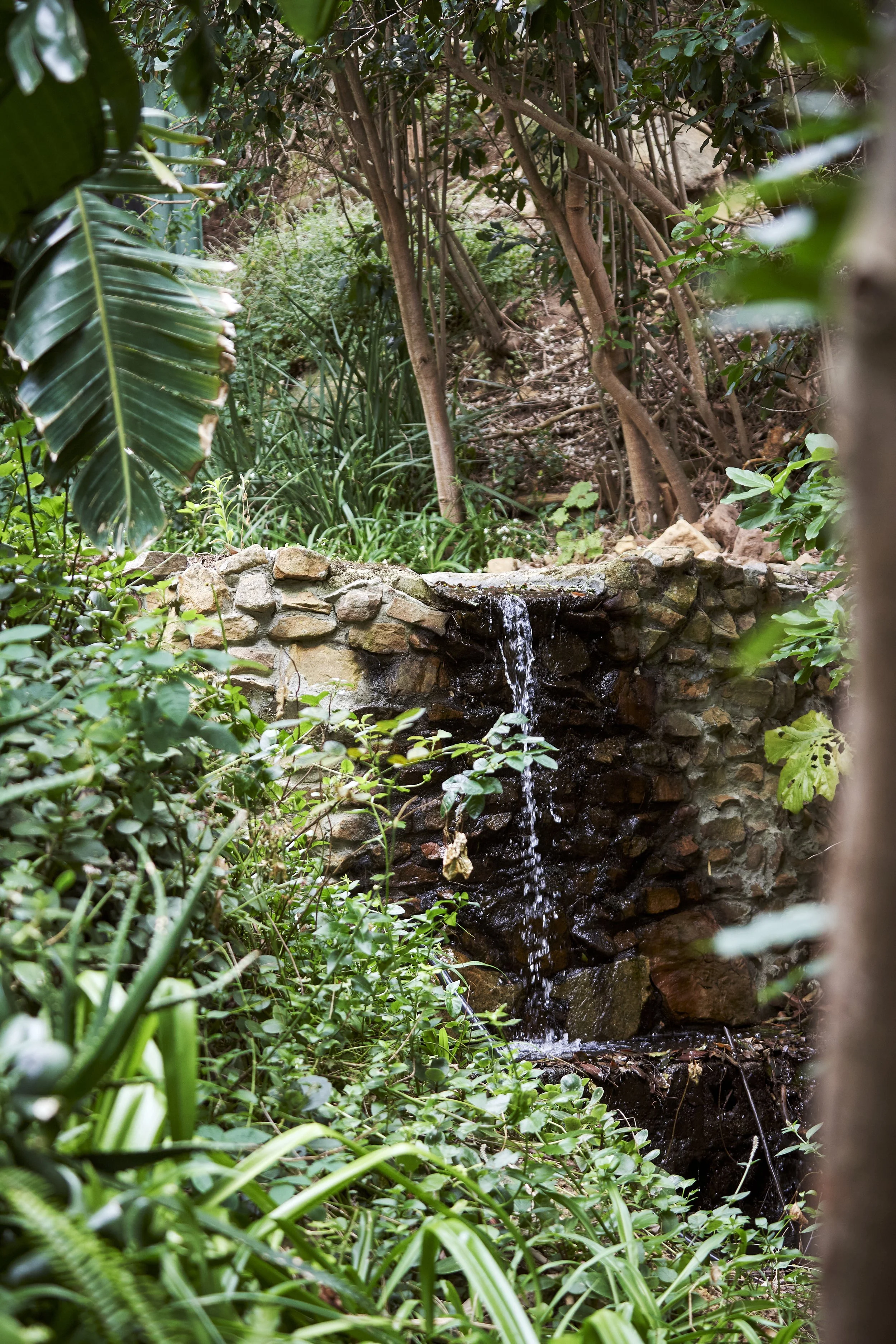 The garden at the Getaway