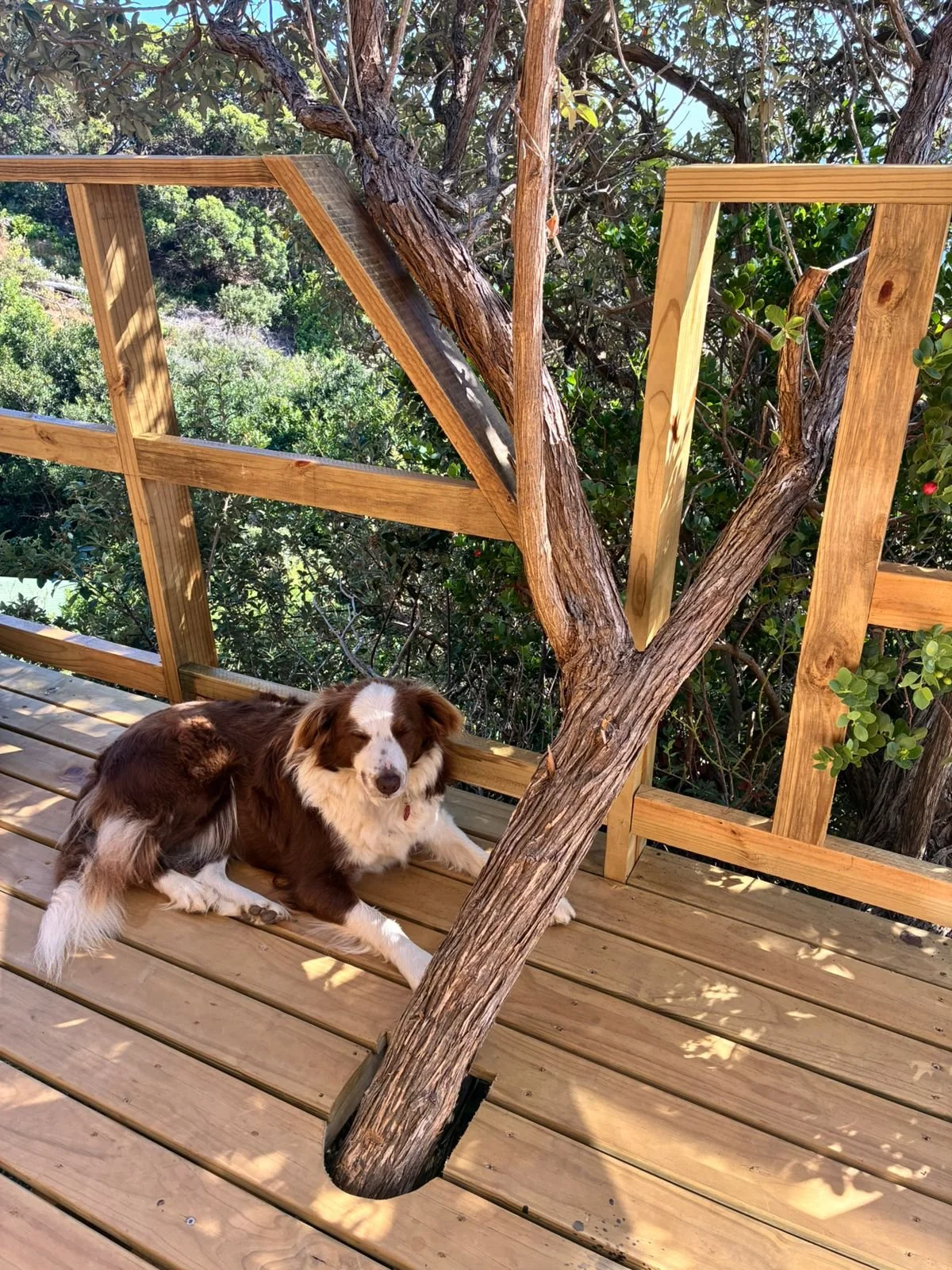 Nuala at the Mountain Jewel