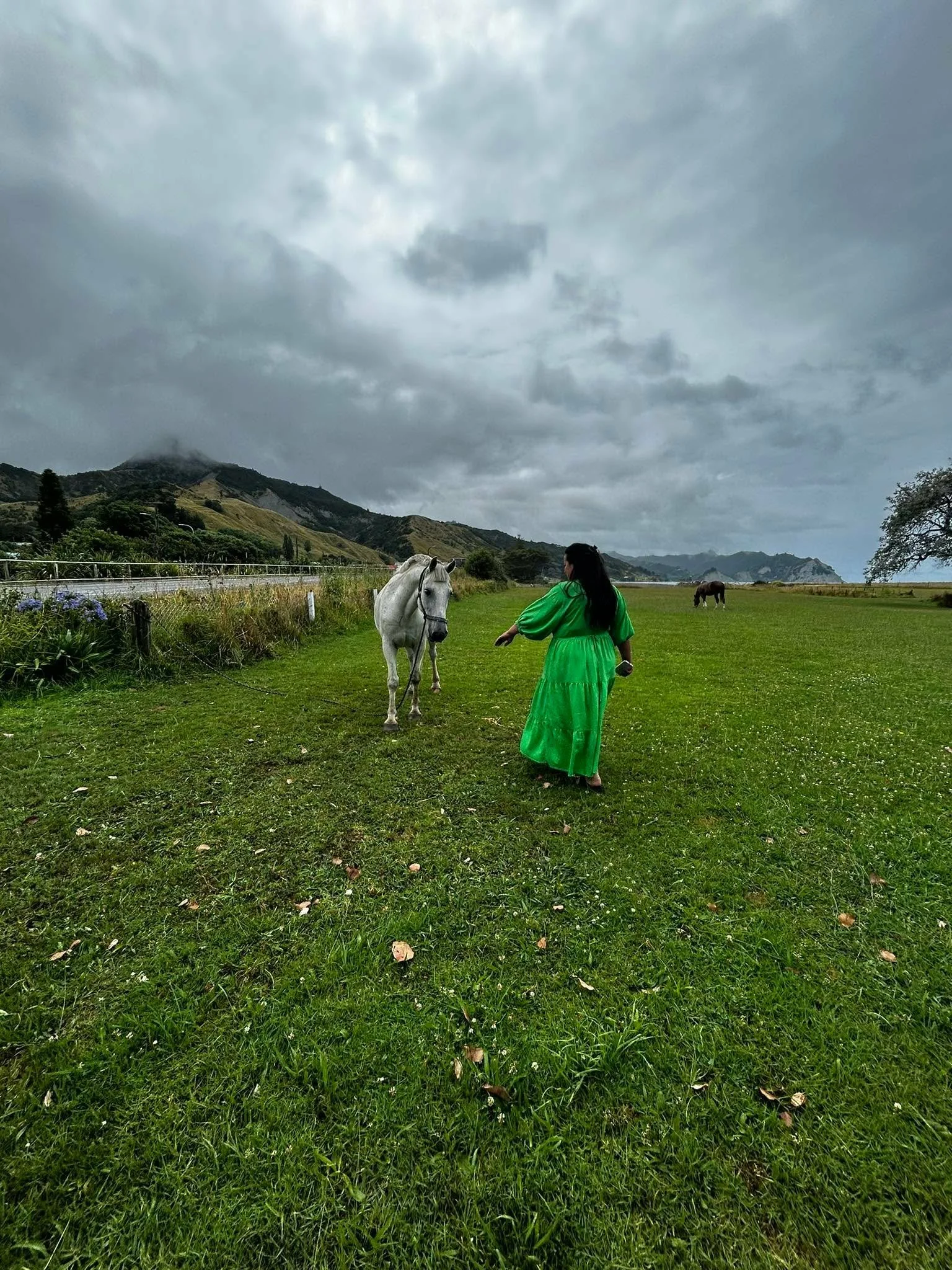 Woman in a bright green dress walking towards a white horse in a grassy field on a cloudy day, with hills and another horse in the background.