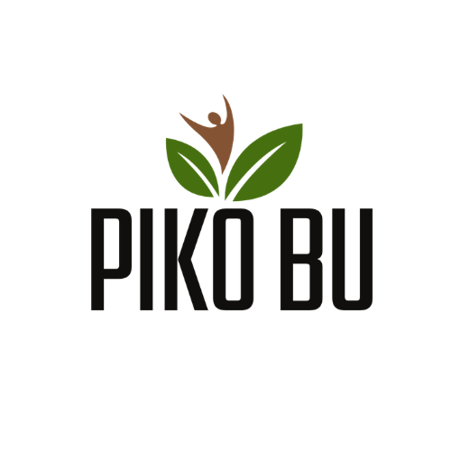 PIKO BU 