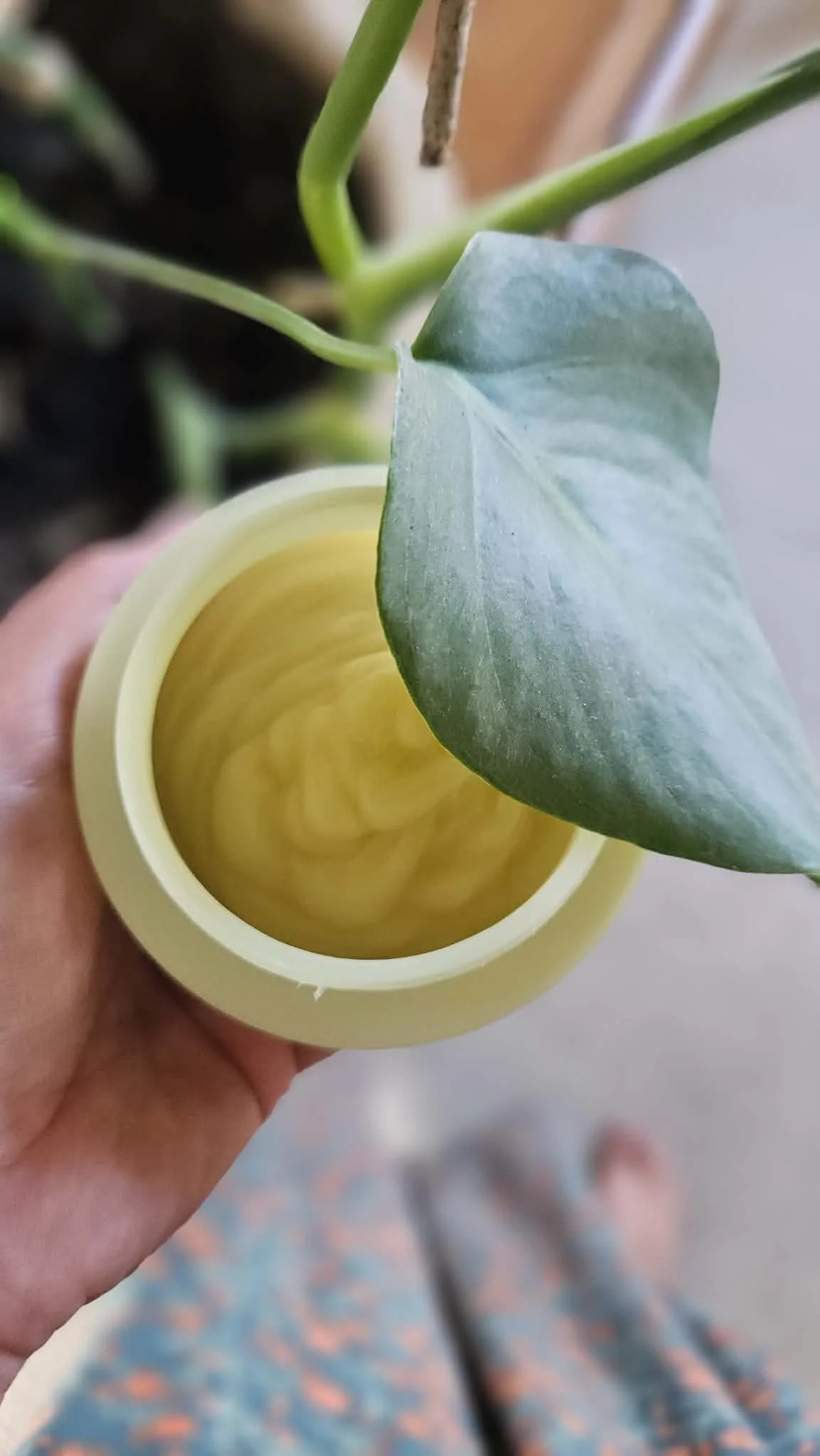 A hand holding a yellow container with a swirl pattern of a yellow liquid inside, next to a green plant leaf.