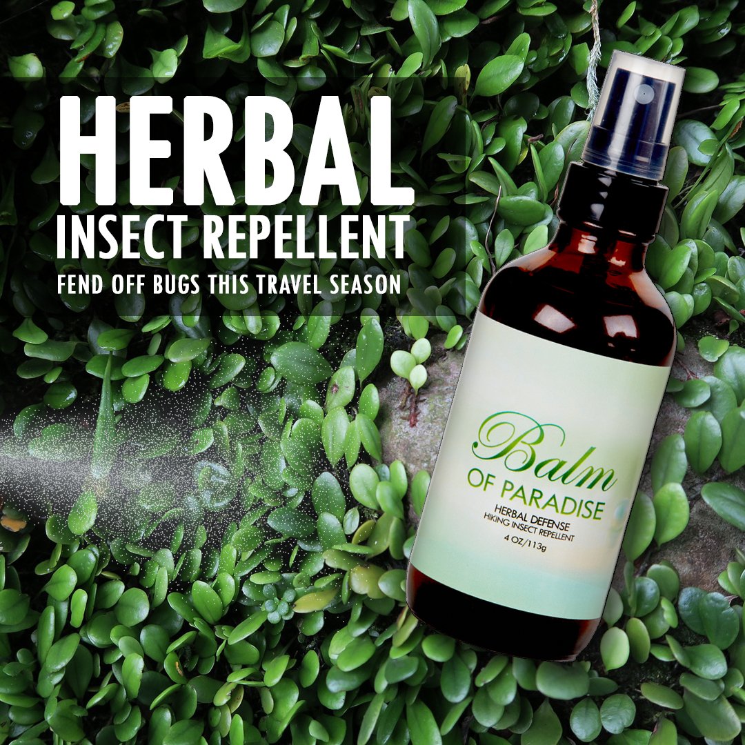 A bottle of herbal insect repellent on a bed of green plants with text promoting herbal insect repellent for travel season.