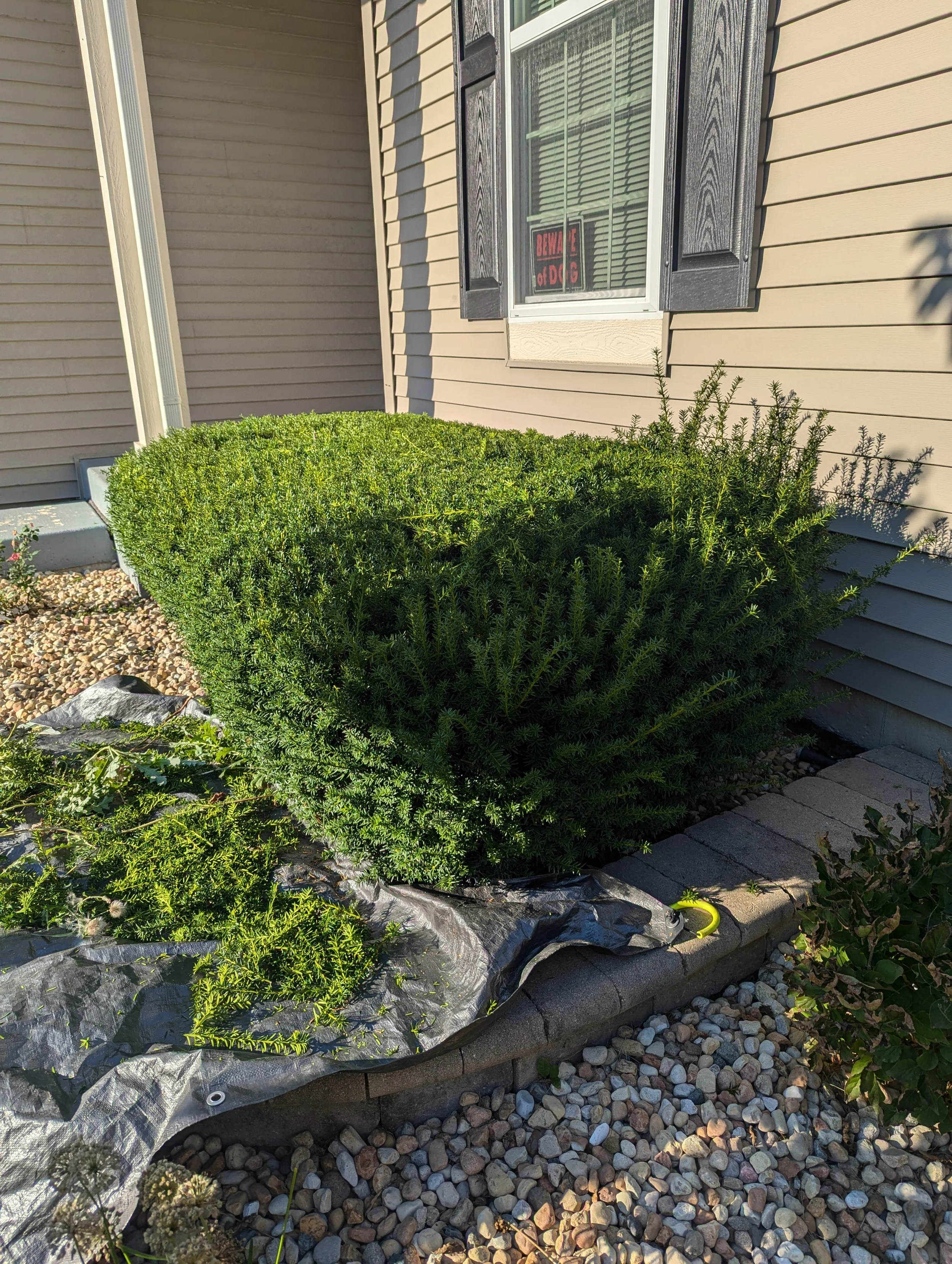 Harmony Trimming Service