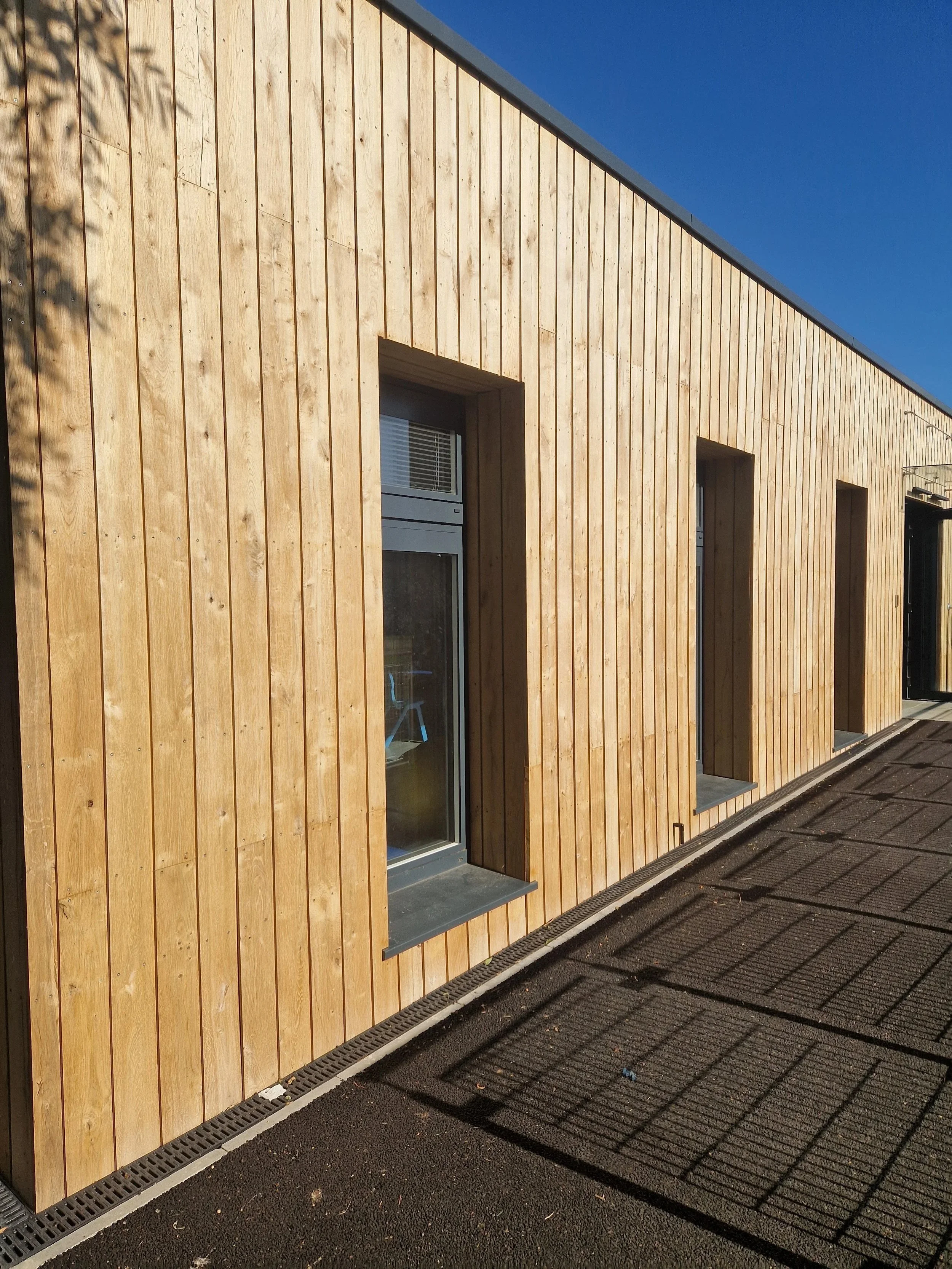 Modern building exterior with vertical wooden siding, three rectangular windows, and a clear blue sky. Shadows of nearby trees are cast on the wall, and the ground features a drainage grate.