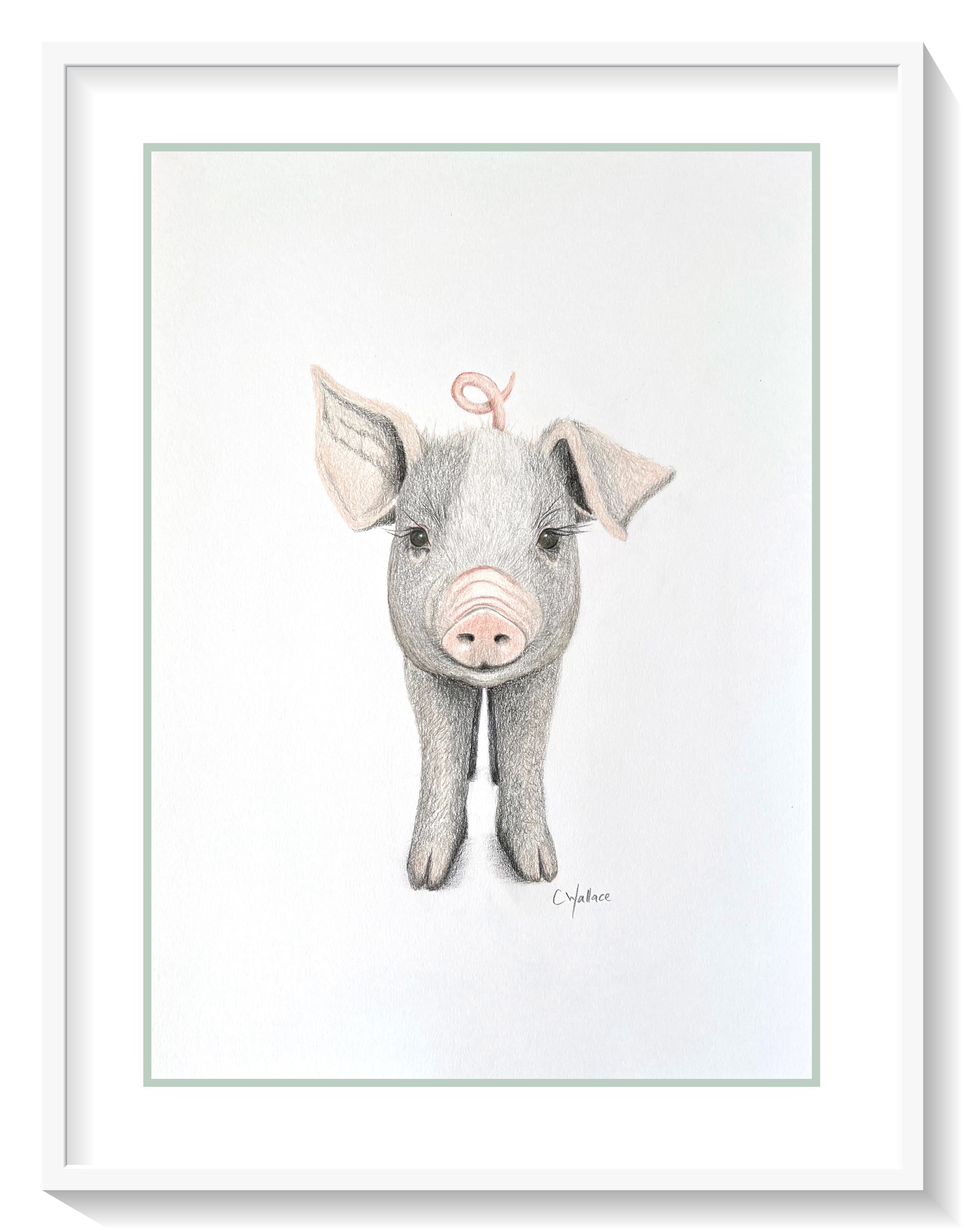 Cute-piglet-drawingmat.jpg.png