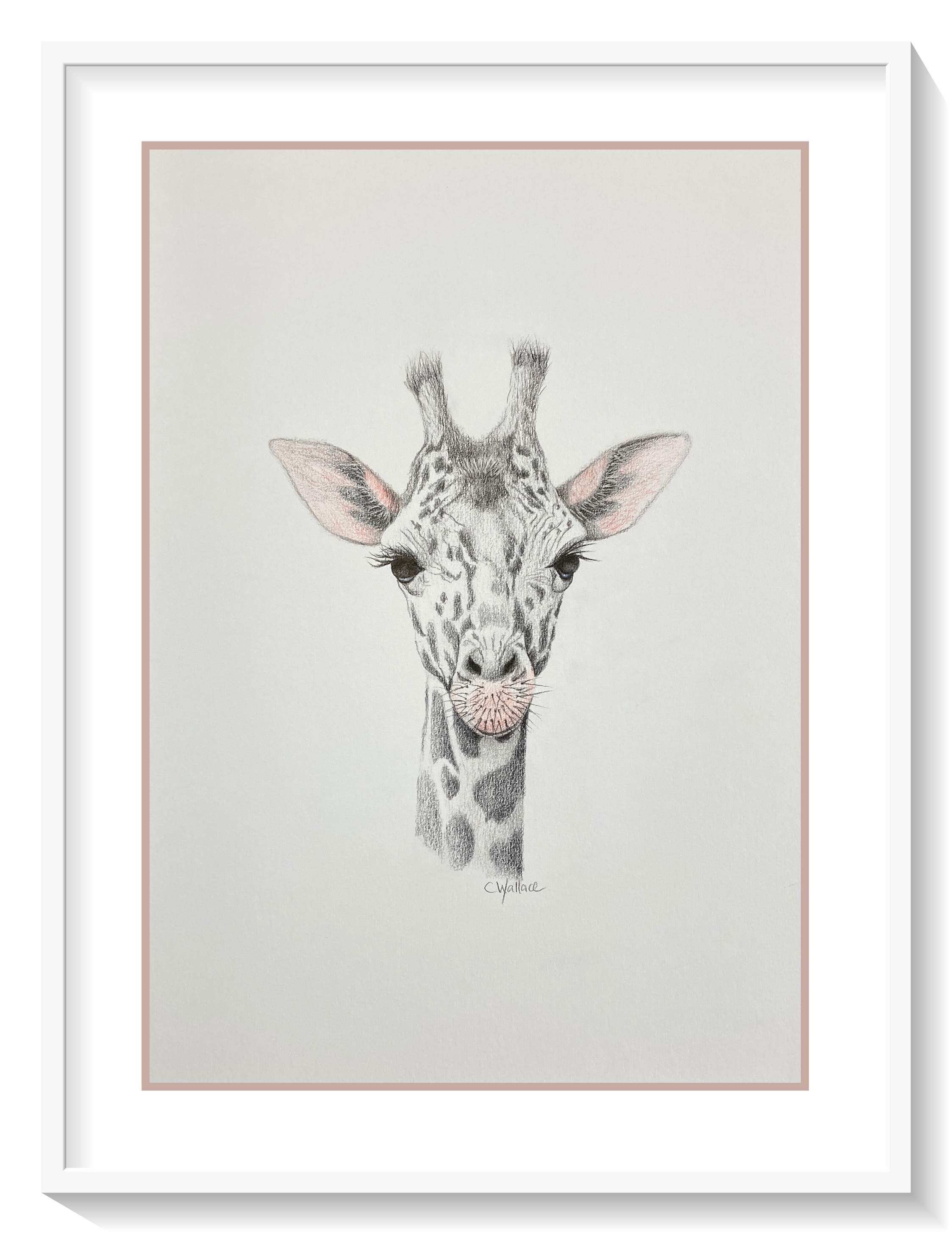 Giraffe-cuteness-framed.png
