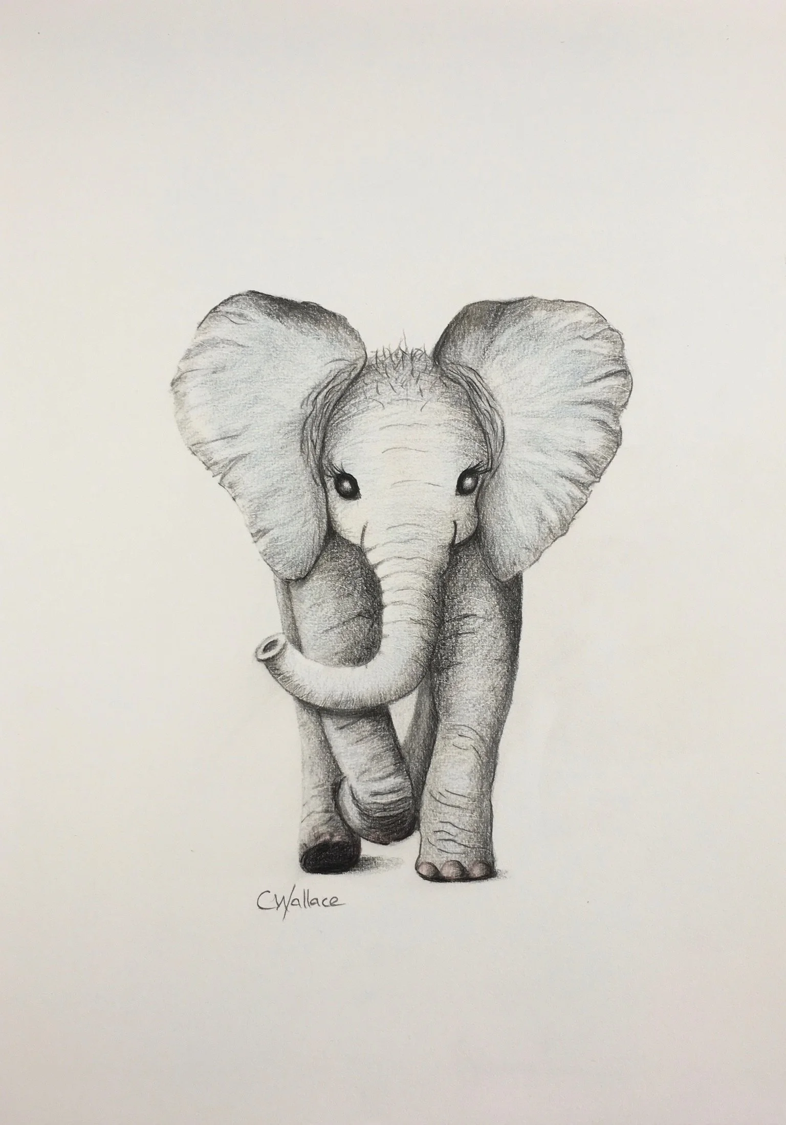 Cute Elephant