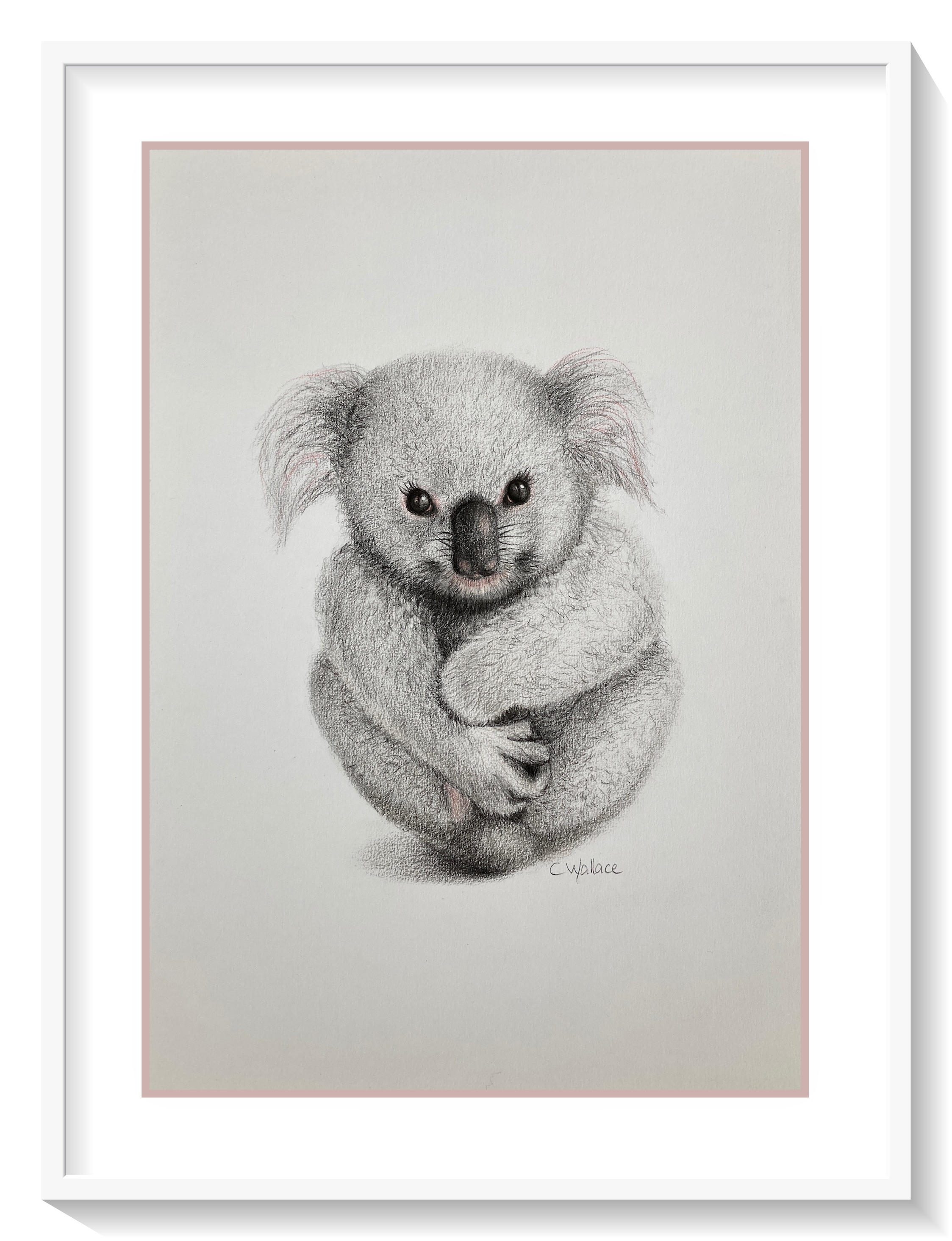 Koala-cuddles drawing-framed.png
