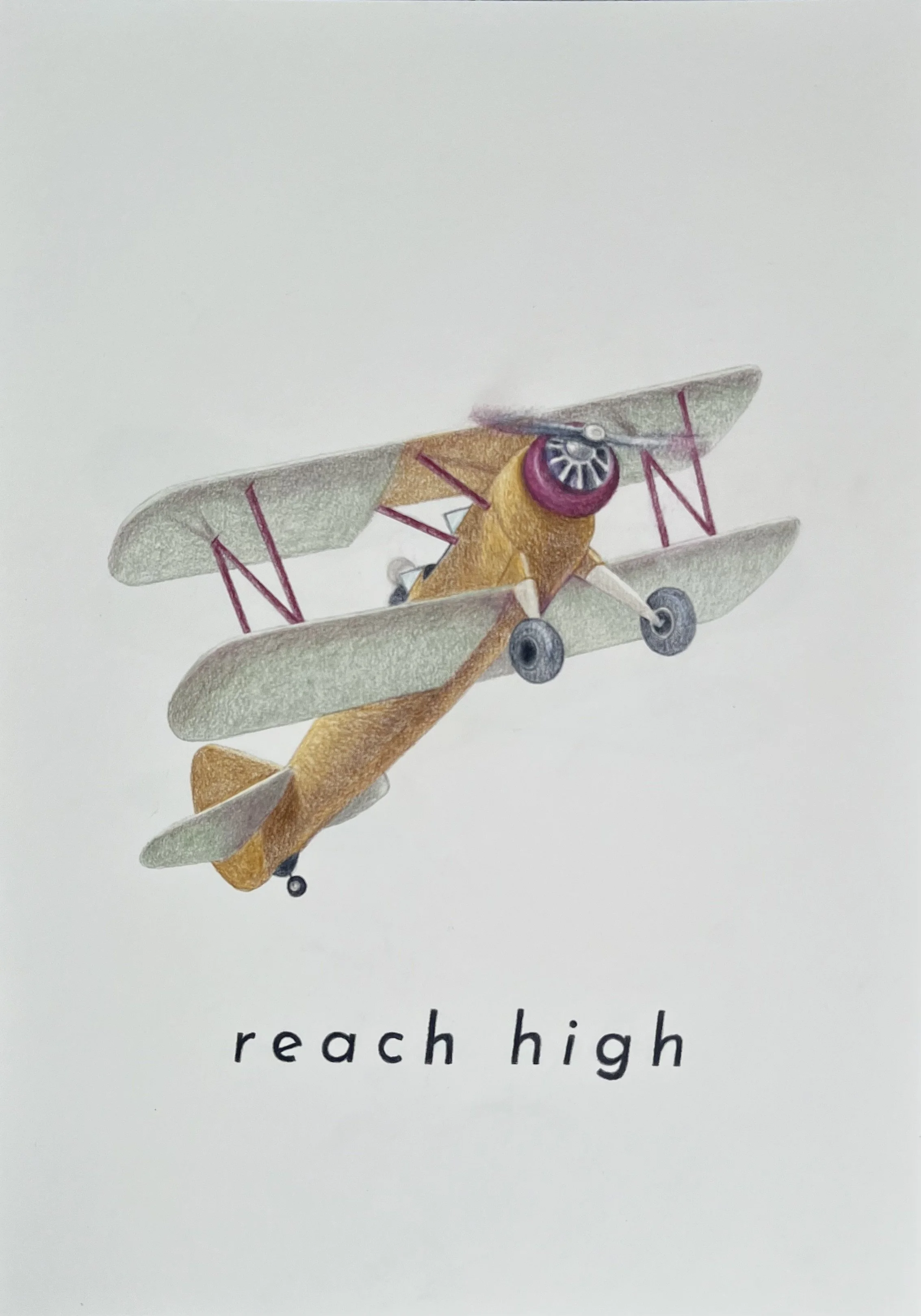 Soar & Explore 