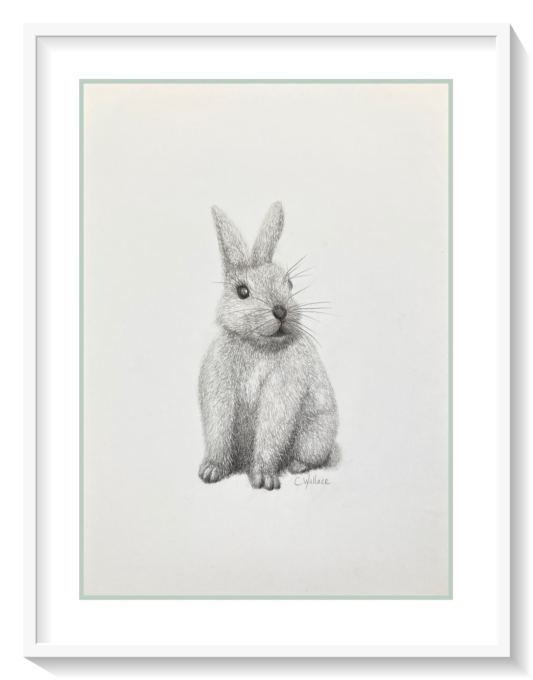 Bunny-love-drawing-framed.jpeg.png
