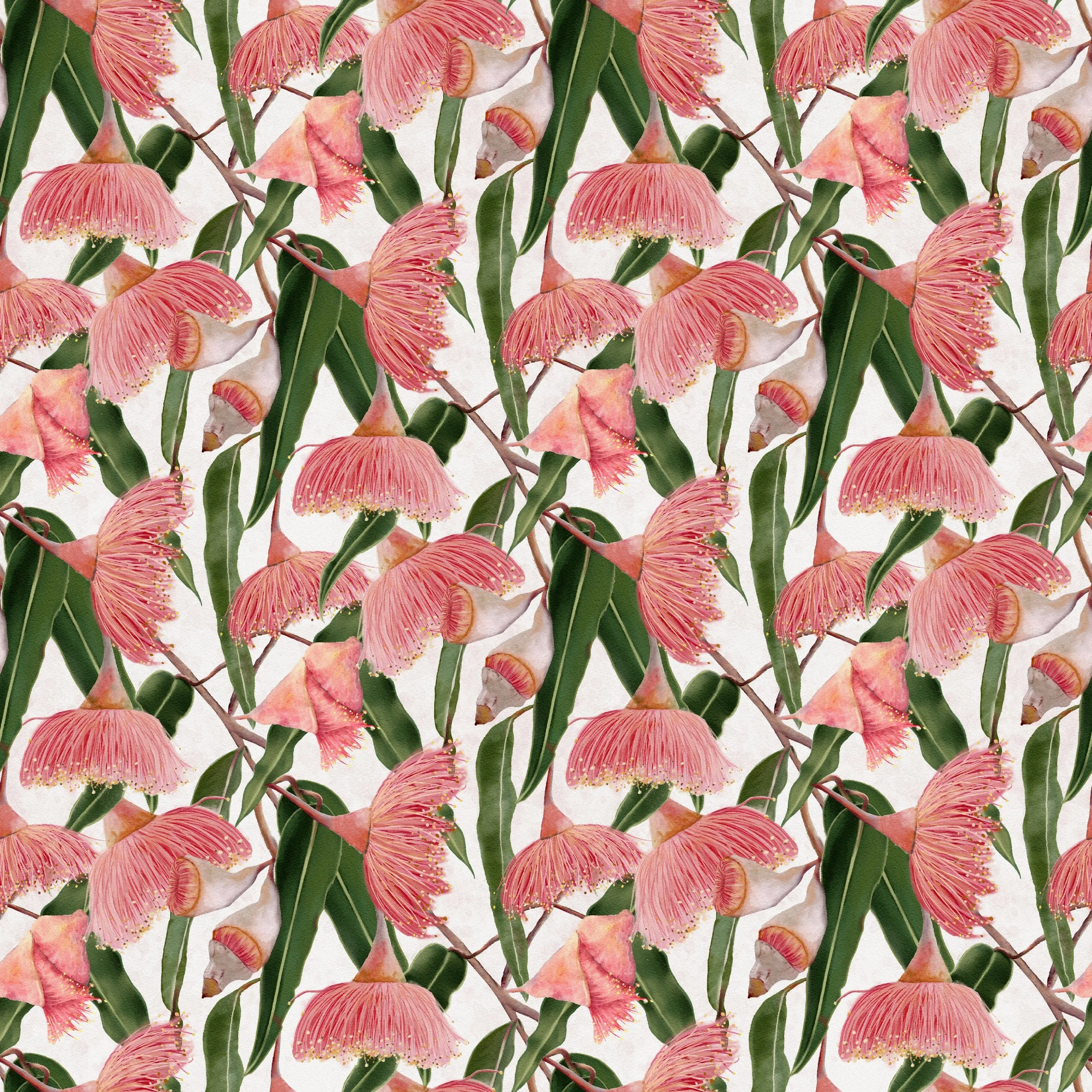 Gum Blossoms Blush - Delicate pink gum blossoms sway gracefully among slender eucalyptus leaves in this hand-painted botanical design.