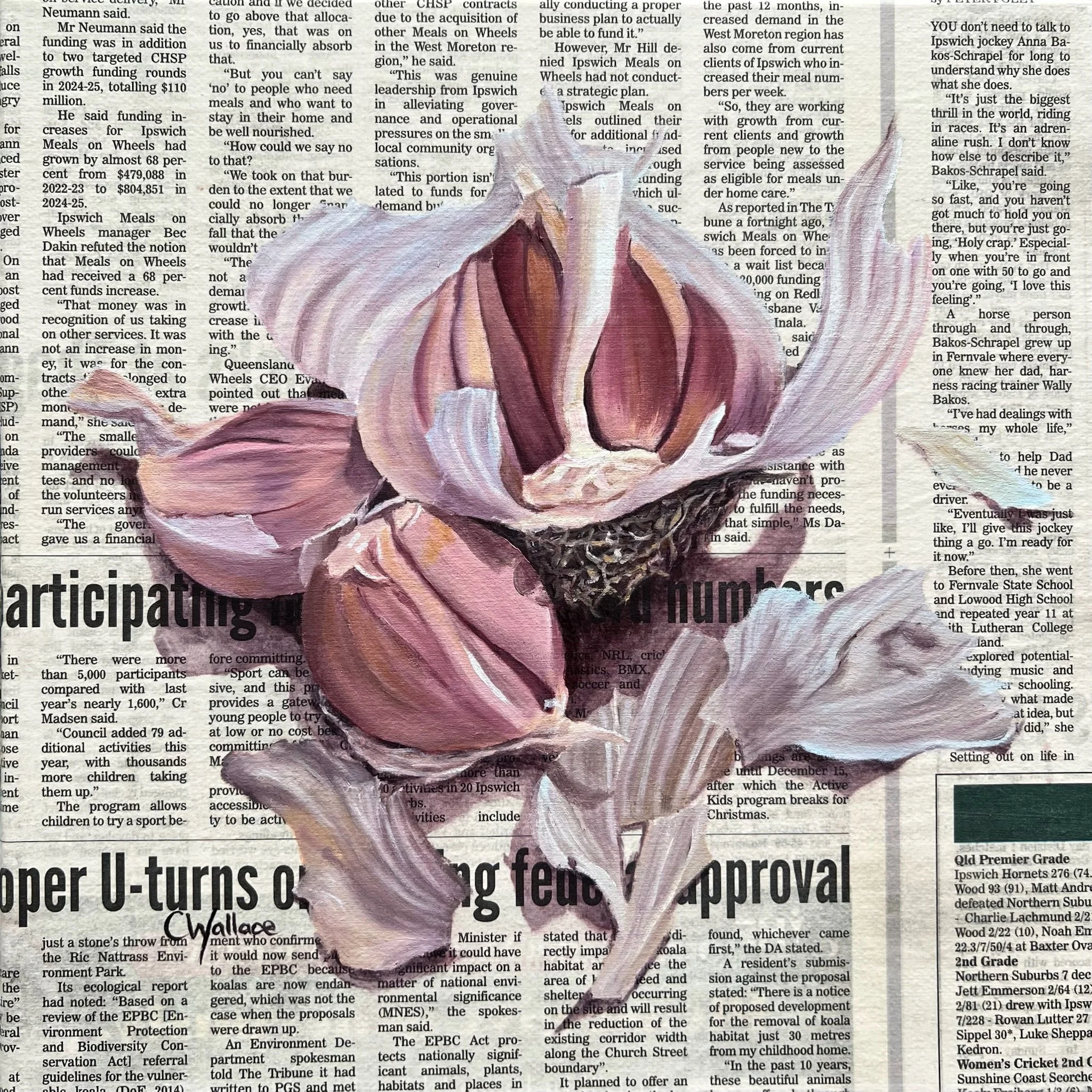 Blushed Garlic