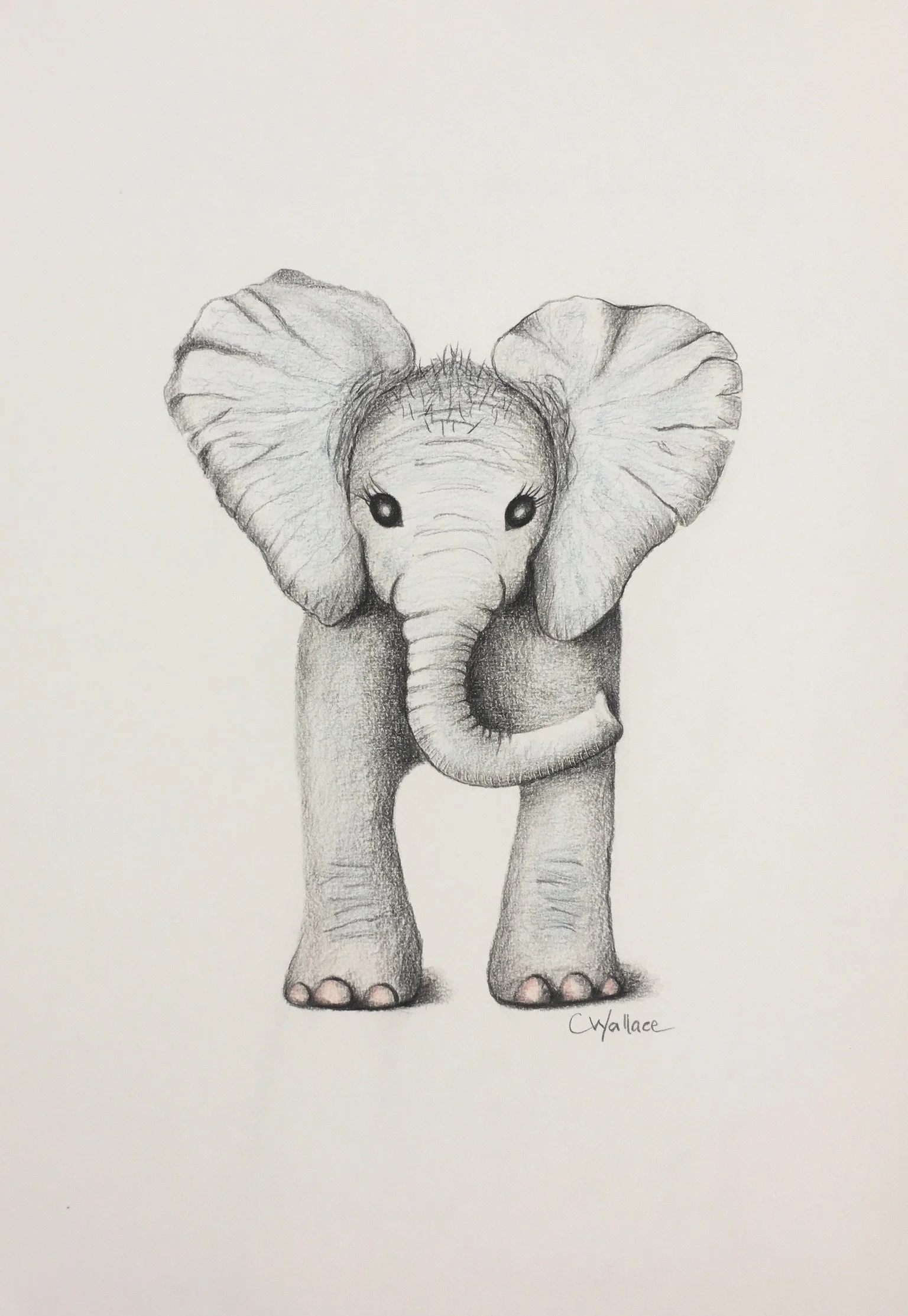 Cute Baby Elephanr