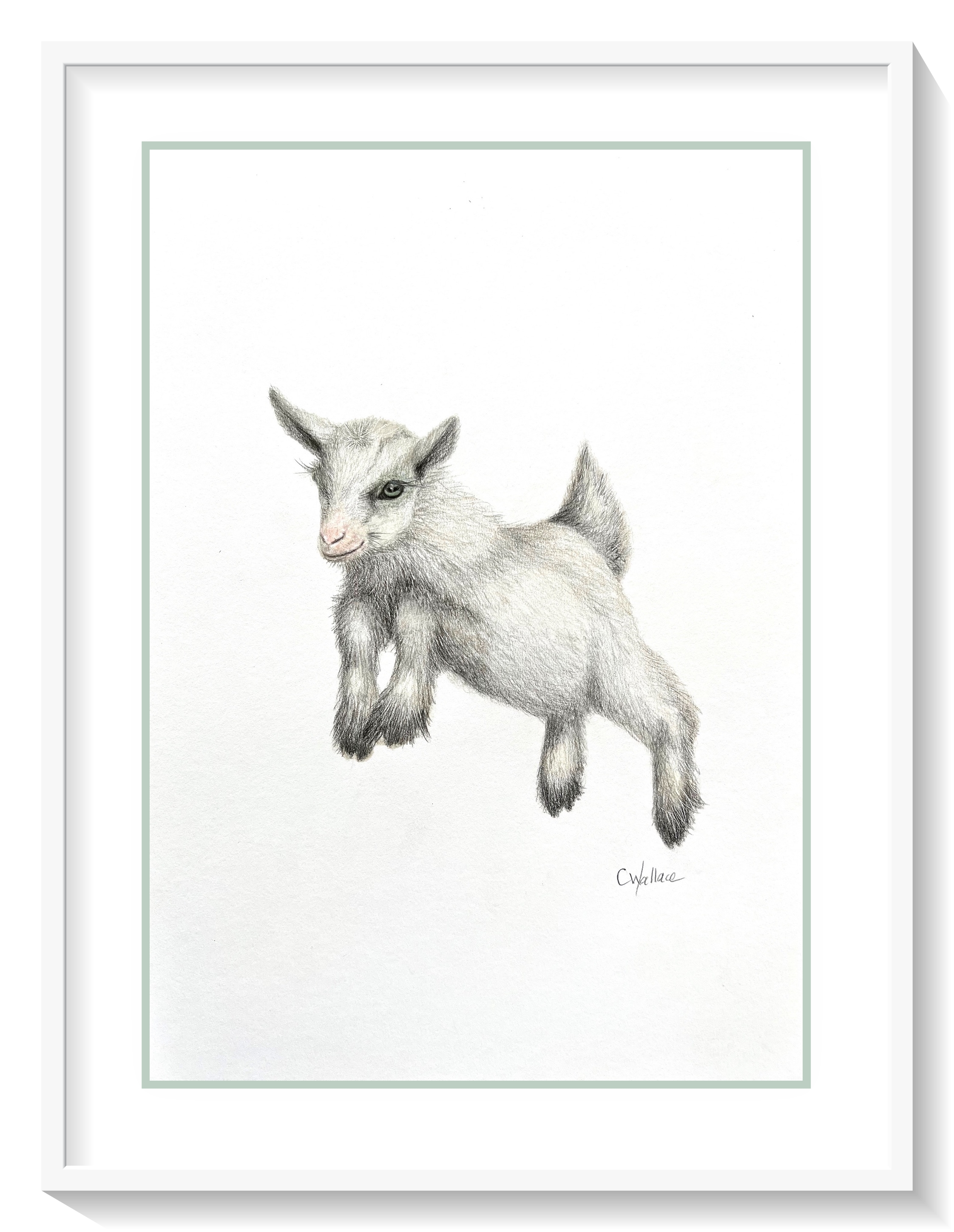 Cute-baby-goat-drawing-framed.jpg.png