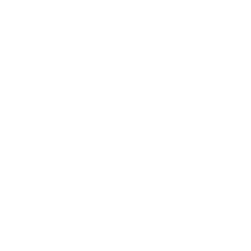 a white icon of a car.