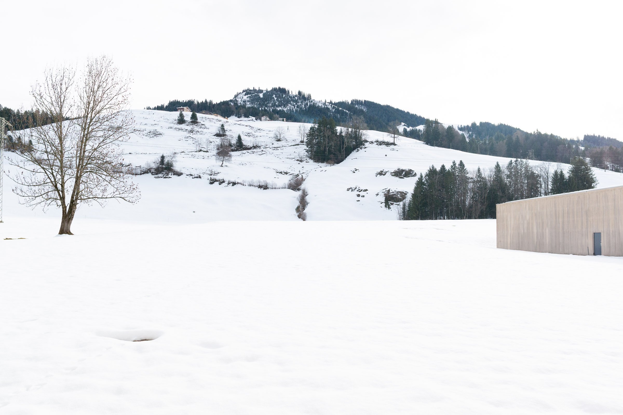 Schneebedeckte Landschaft mit vier Bäumen, einer modernen Hütte im Vordergrund und einem Hügel mit einigen Häusern im Hintergrund.