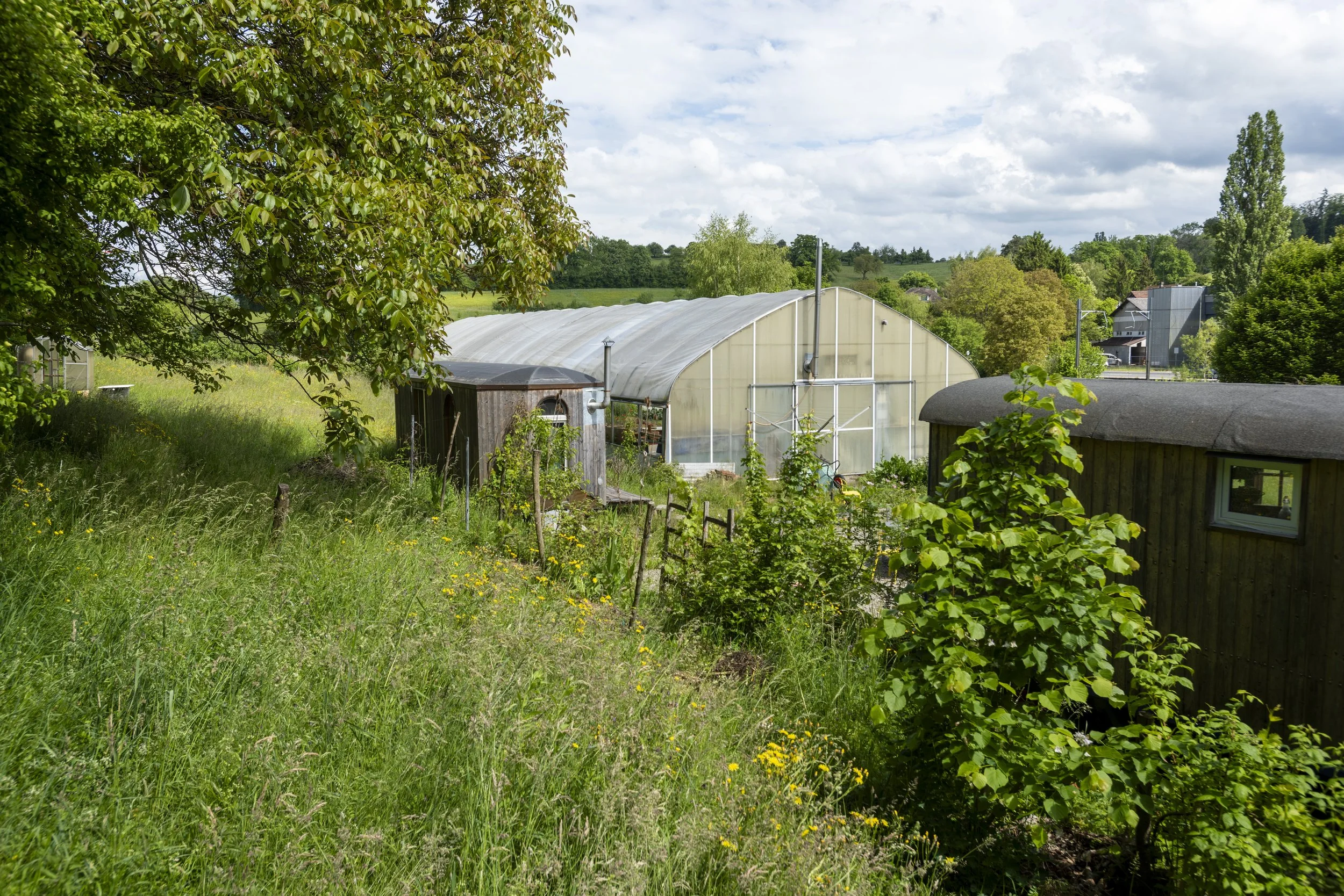 A rural landscape with a green field, trees, and a greenhouse structure. There are some small buildings and rolling hills in the background under a partly cloudy sky.