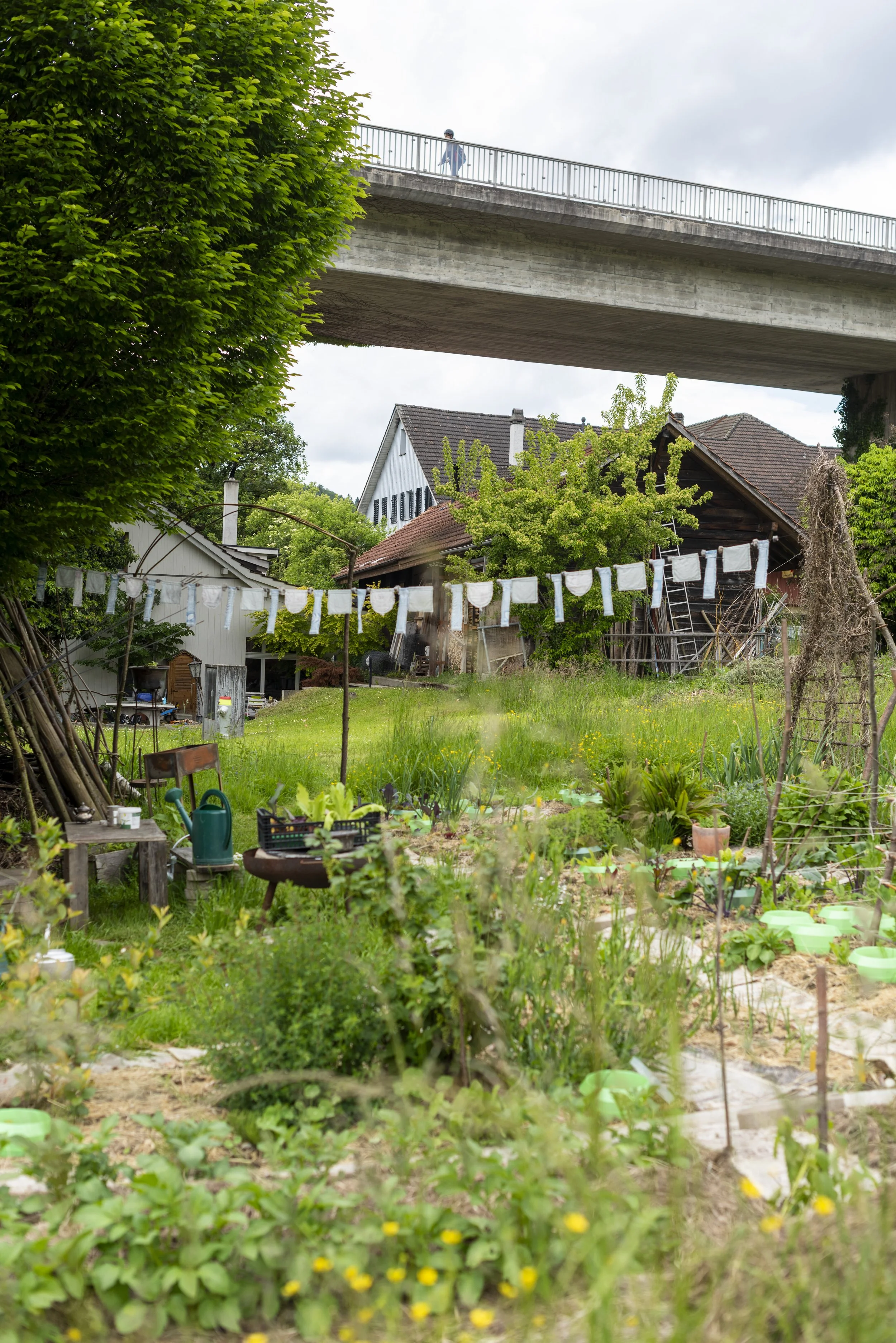 A backyard garden with plants, garden tools, and a clothesline, with a house in the background, trees, and an overpass bridge with a person walking on it overhead.