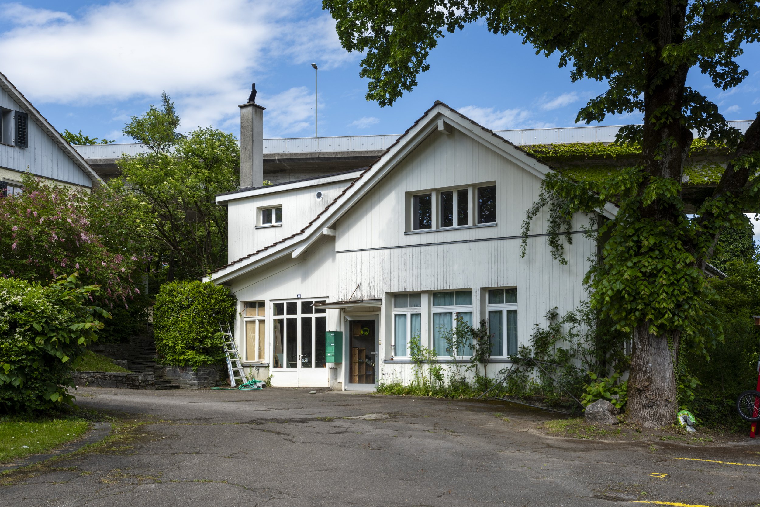White two-story house with large windows, surrounded by green trees, with an asphalt driveway and a ladder leaning against the side.