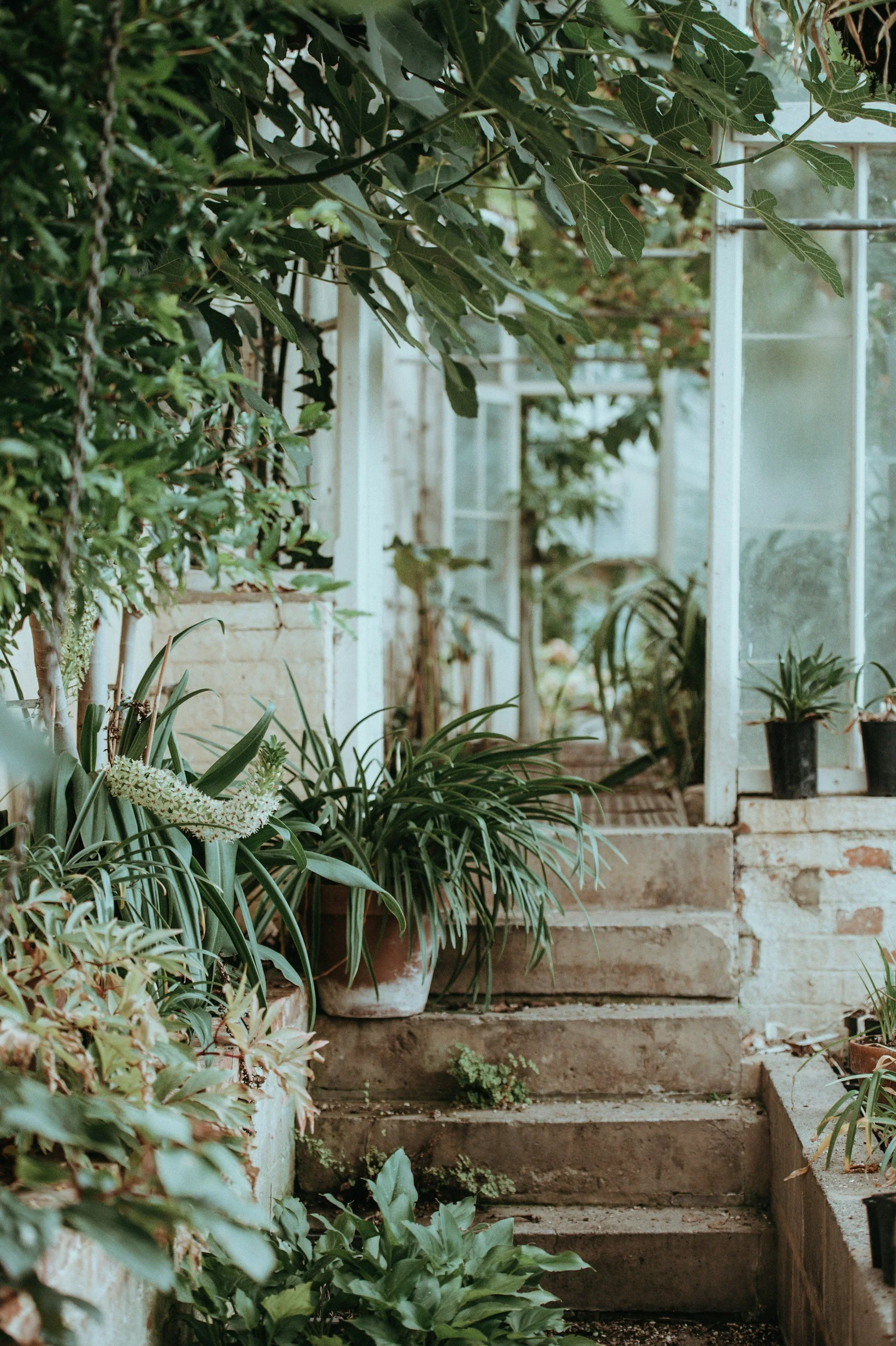 Garden area with potted plants, green leaves, and a staircase leading up to a glass and metal door on a brick wall.