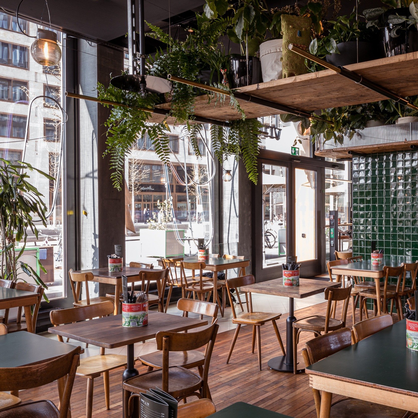Innenansicht eines modernen Cafés mit Holztischen, Stühlen und zahlreichen Pflanzen, große Fenster lassen Tageslicht herein.