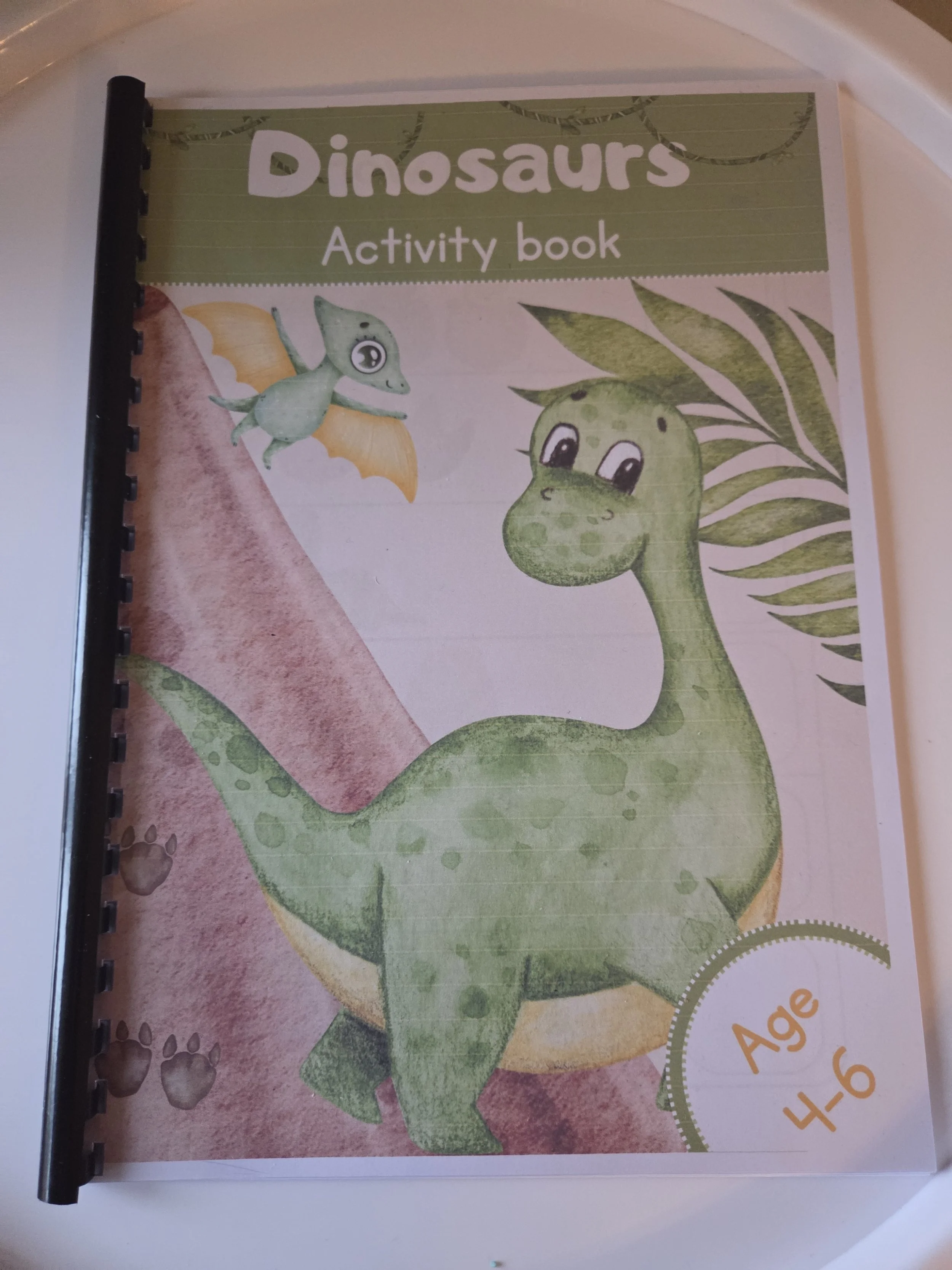 Dinosaur Themed Activity Pack