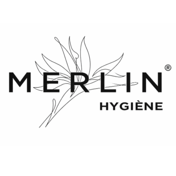 Merlin Logo S.png