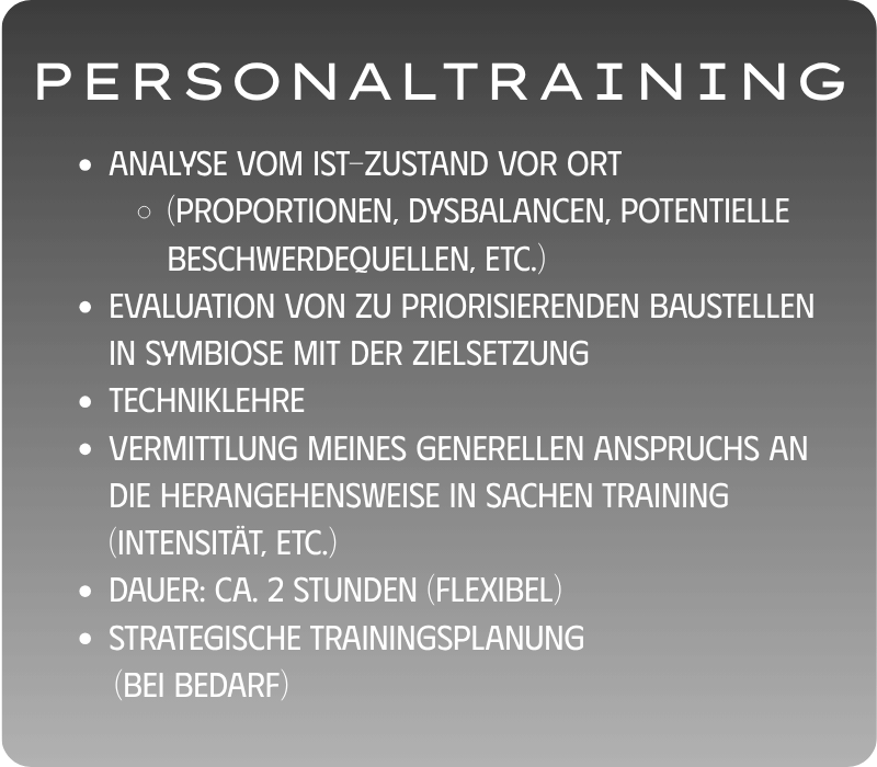 Infos zum Personaltraining mit Punkten zu Analyse, Bewertung, Technik, Anspruch, Dauer, und Planung.
