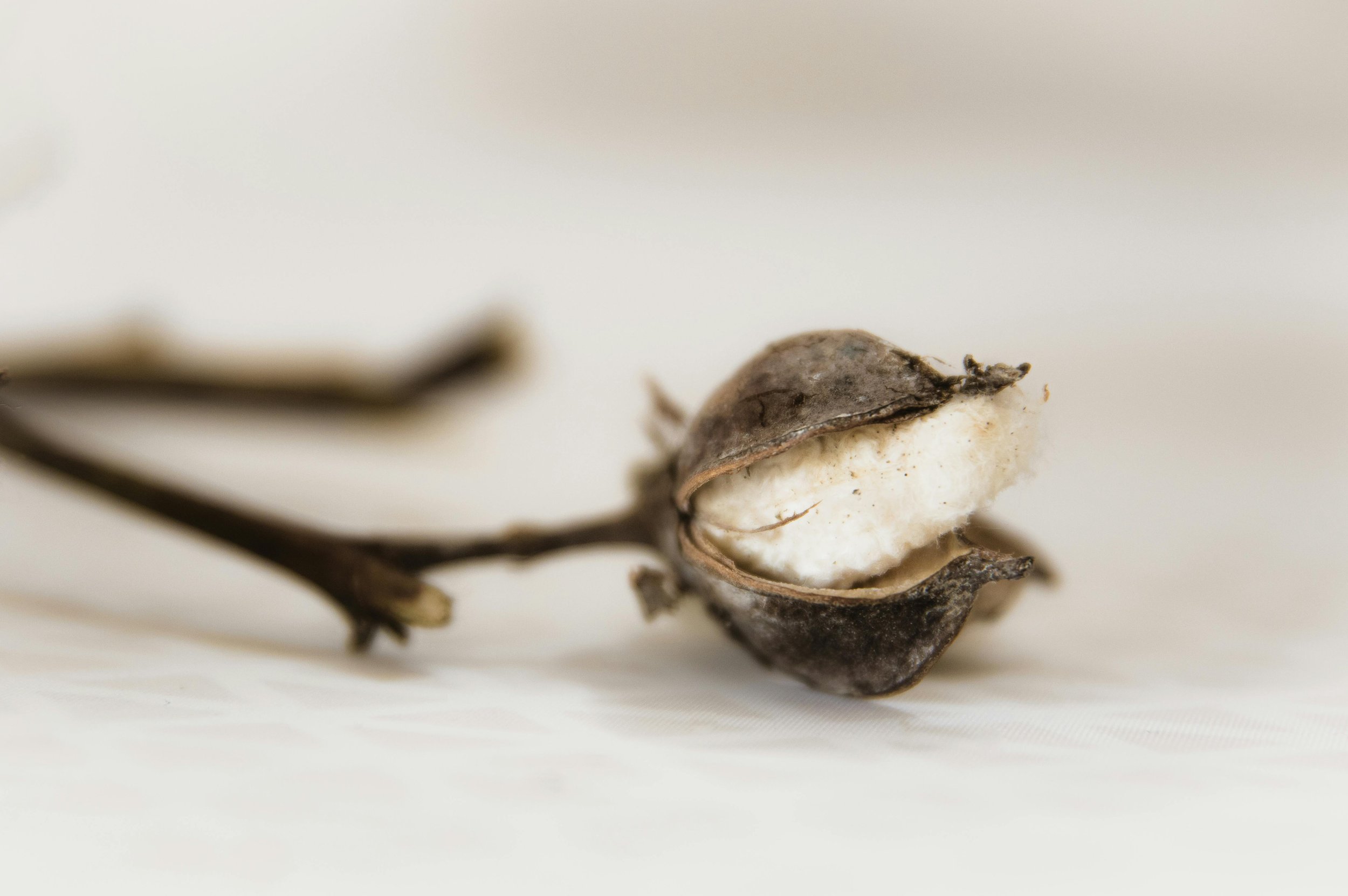 Baumwollgarn: Ein umfassender Leitfaden