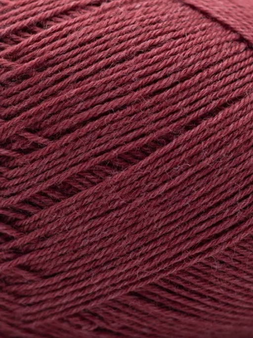 Violett.png