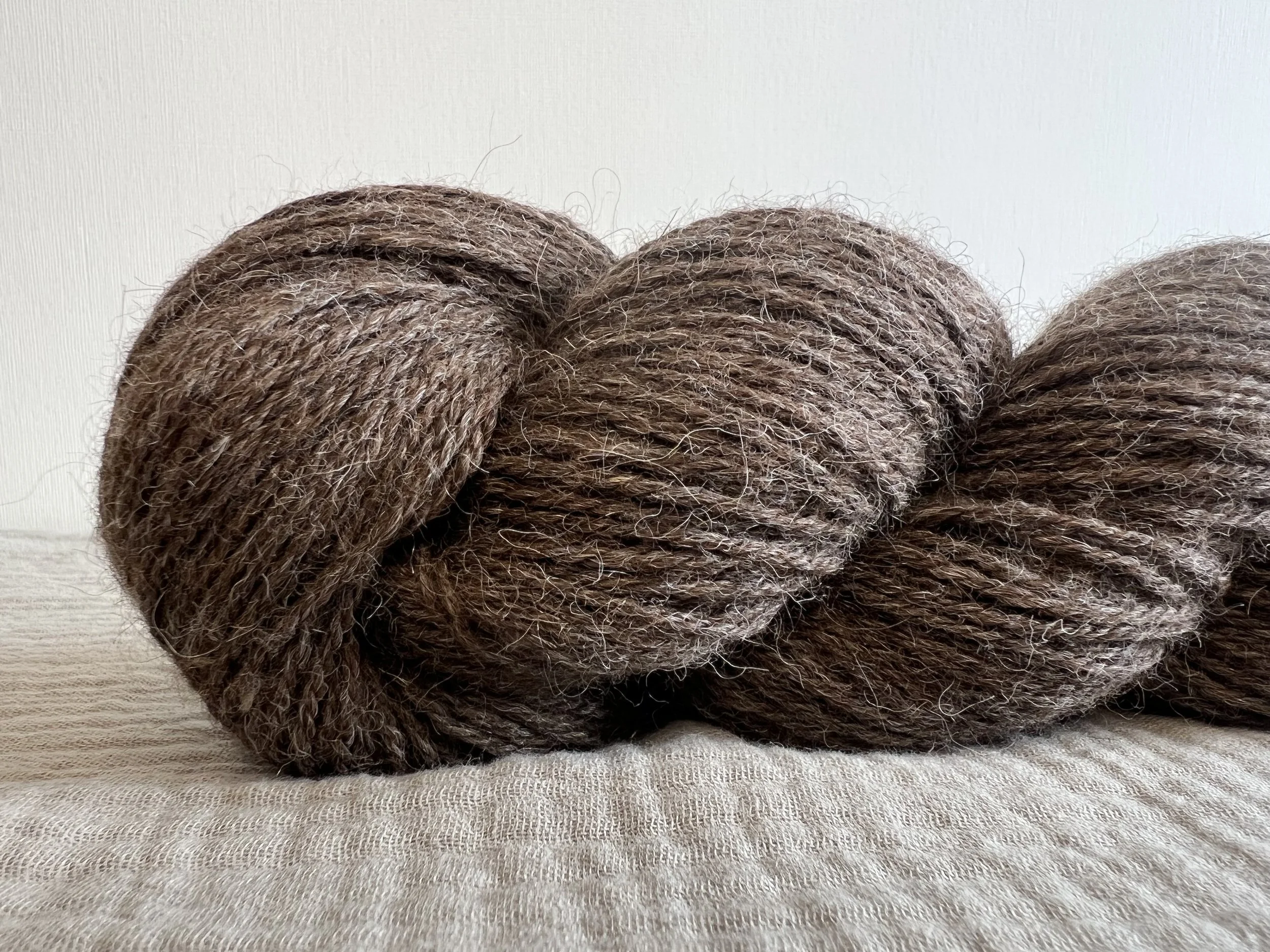 Llama Umi - Walnut