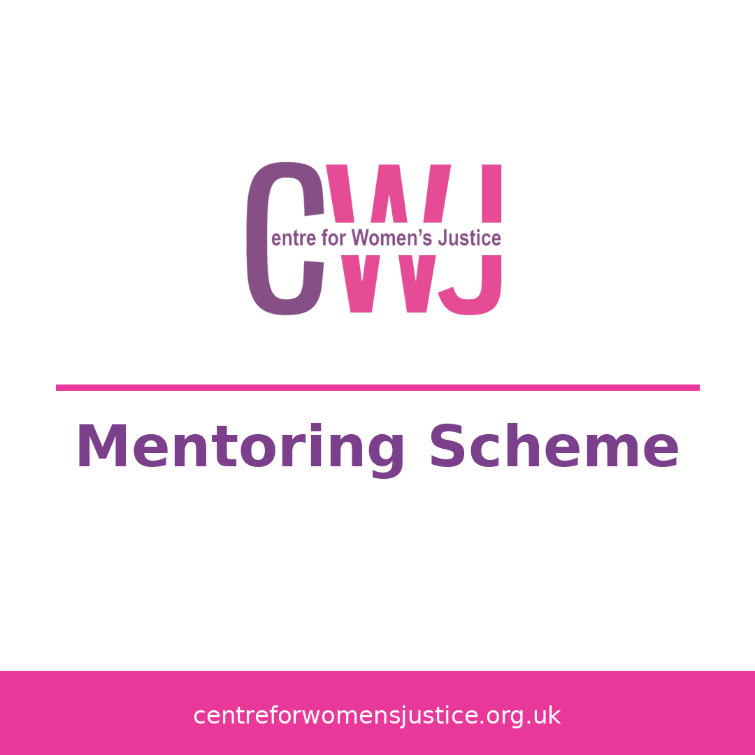 Diversity in the Legal Profession - Mentoring the Feminist Lawyers of the Future
