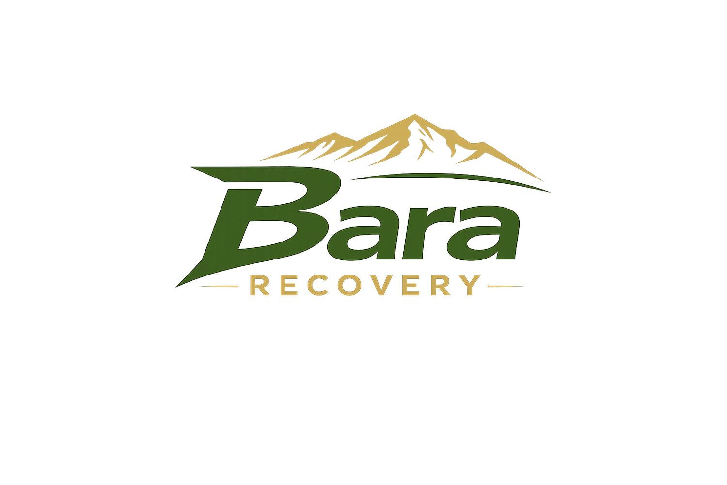 Bara Recovery