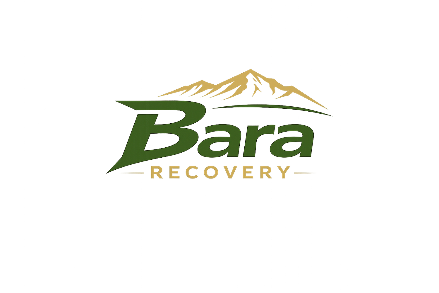 Bara Recovery