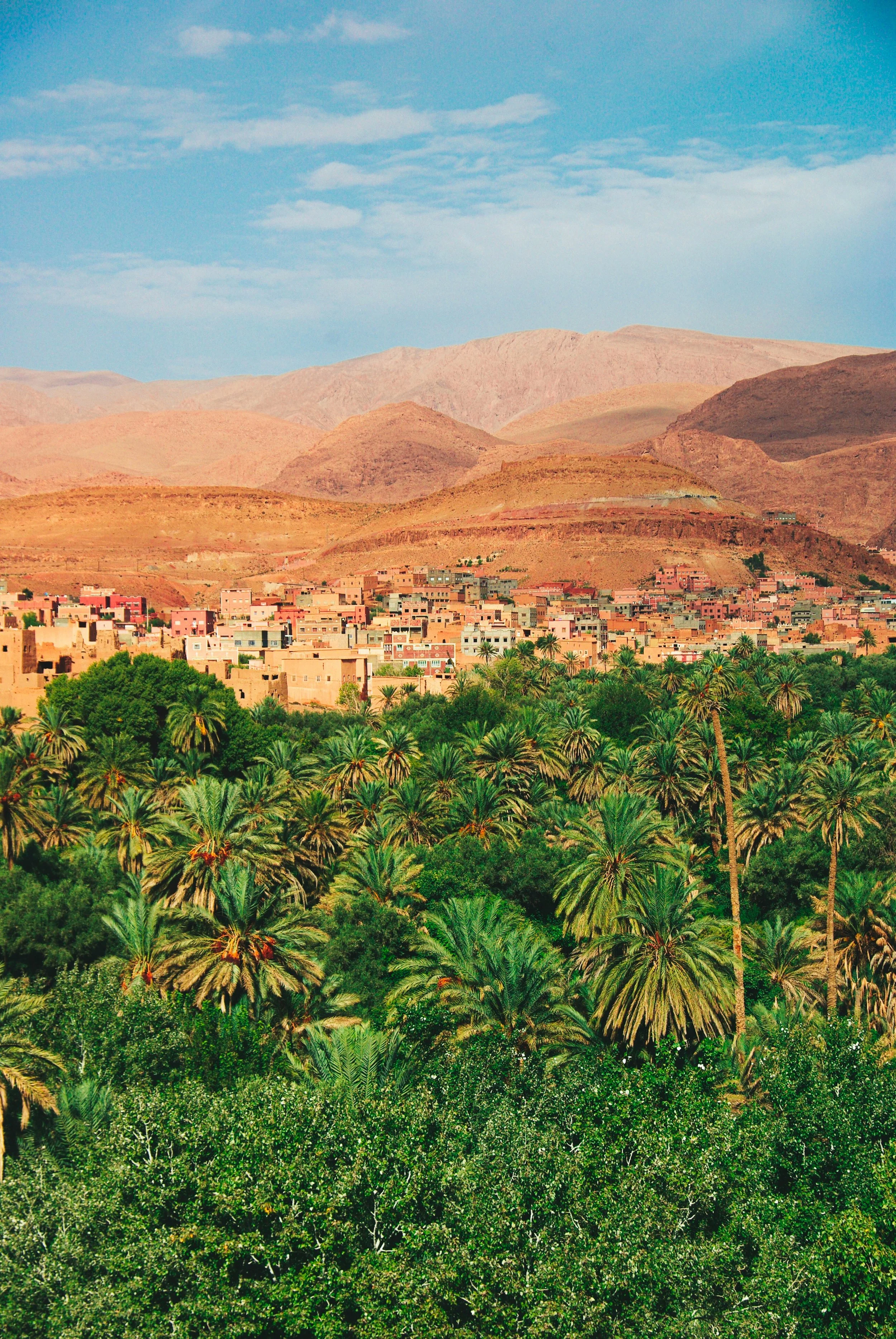 Morocco. Travel Design. A landscape featuring a lush green oasis with numerous palm trees in the foreground, a small town with sand-colored buildings in the middle ground, and arid mountains in the background under a partly cloudy blue sky.