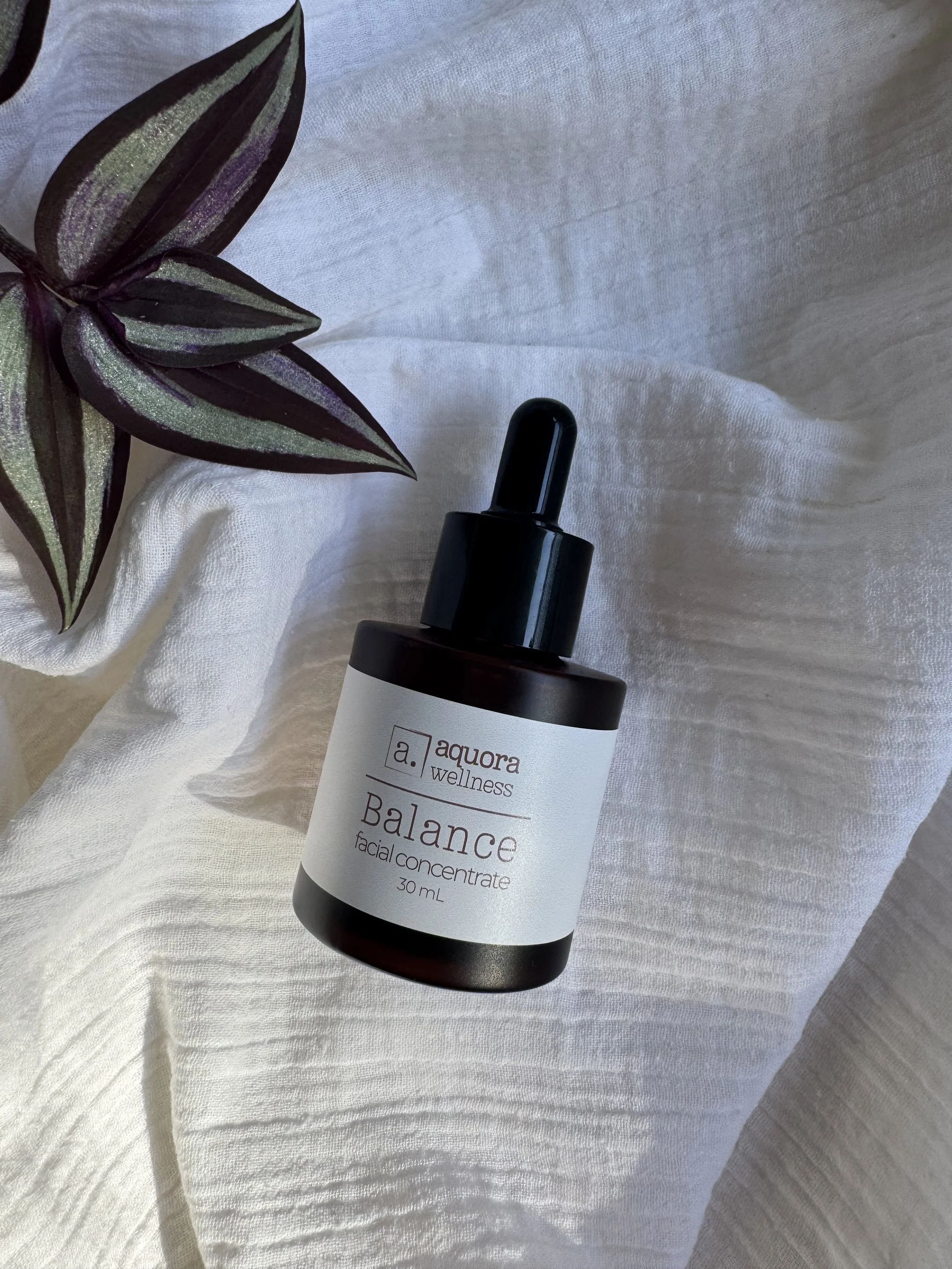 Balance Pure Concentrate