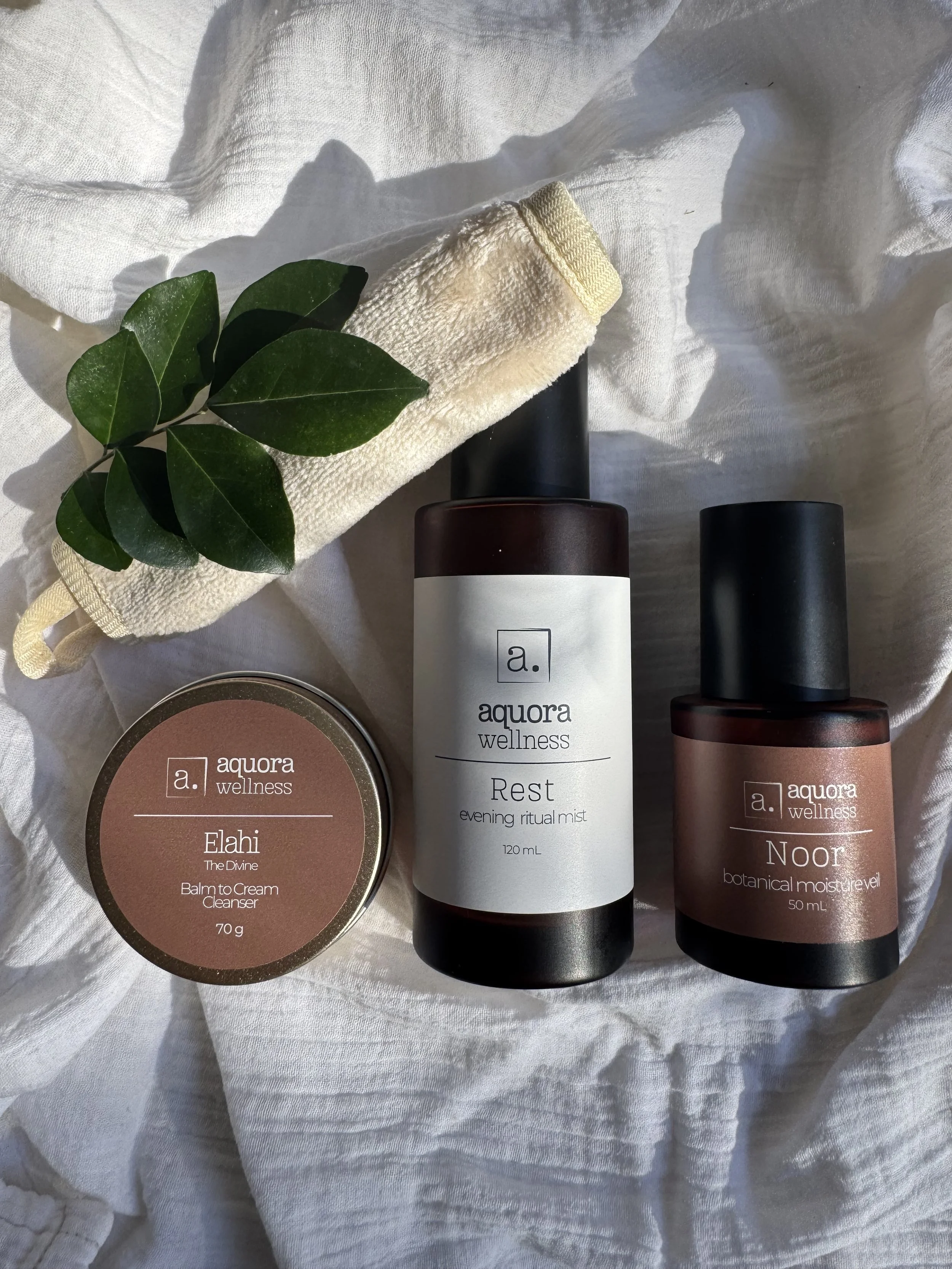 The Daily Renewal Ritual