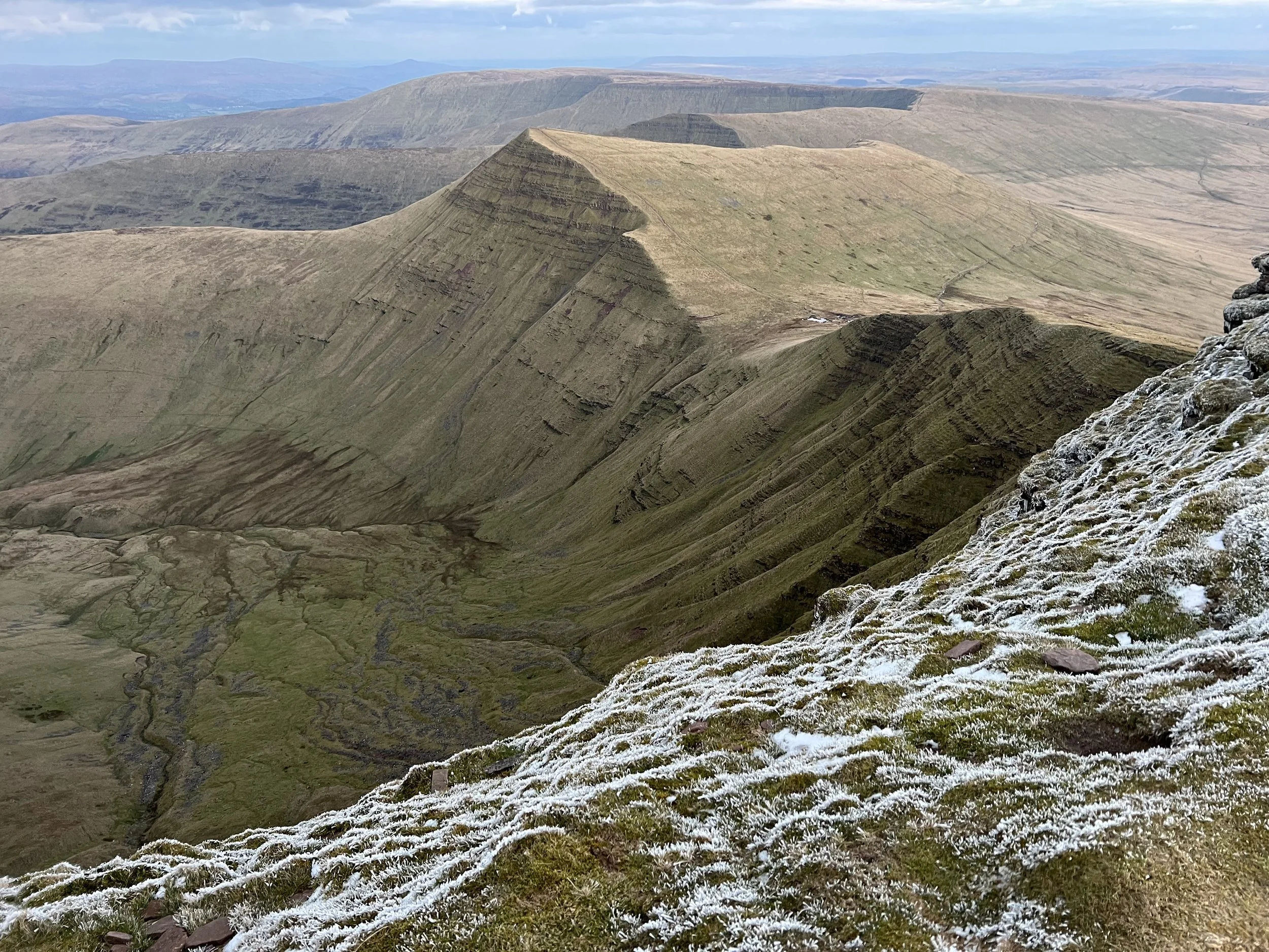 IMG_1436 (1) copy 2.jpg