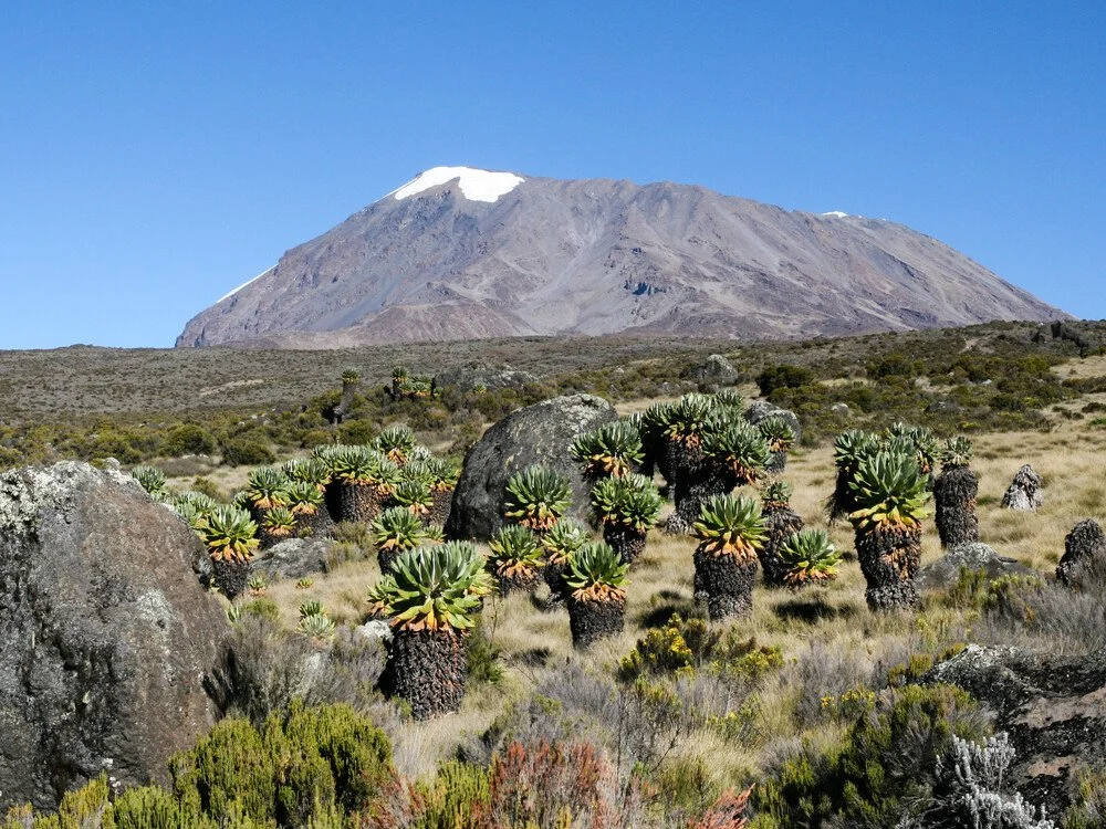 Mount Kili.jpg