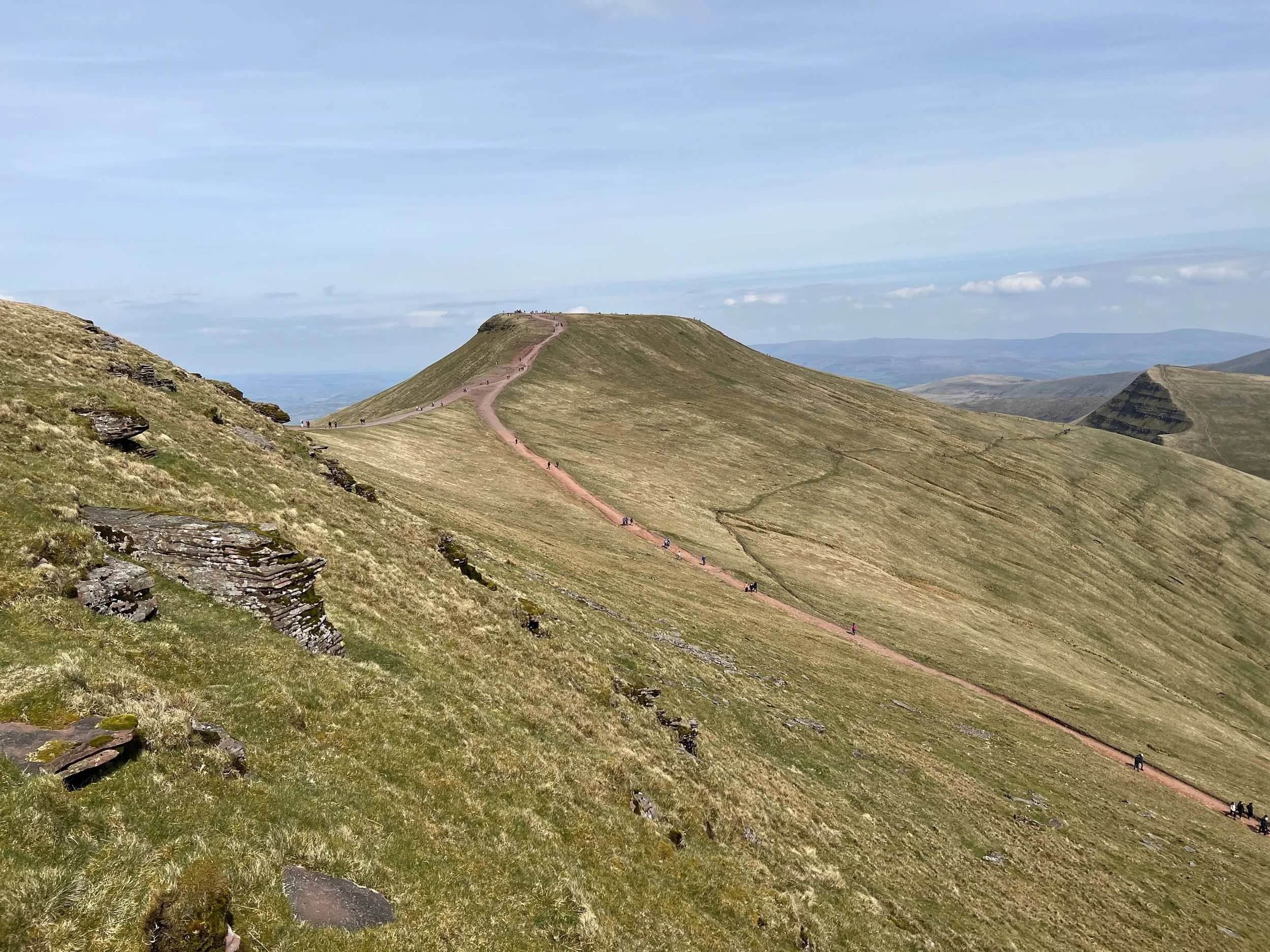 IMG_3384 copy 13.14.03.jpg