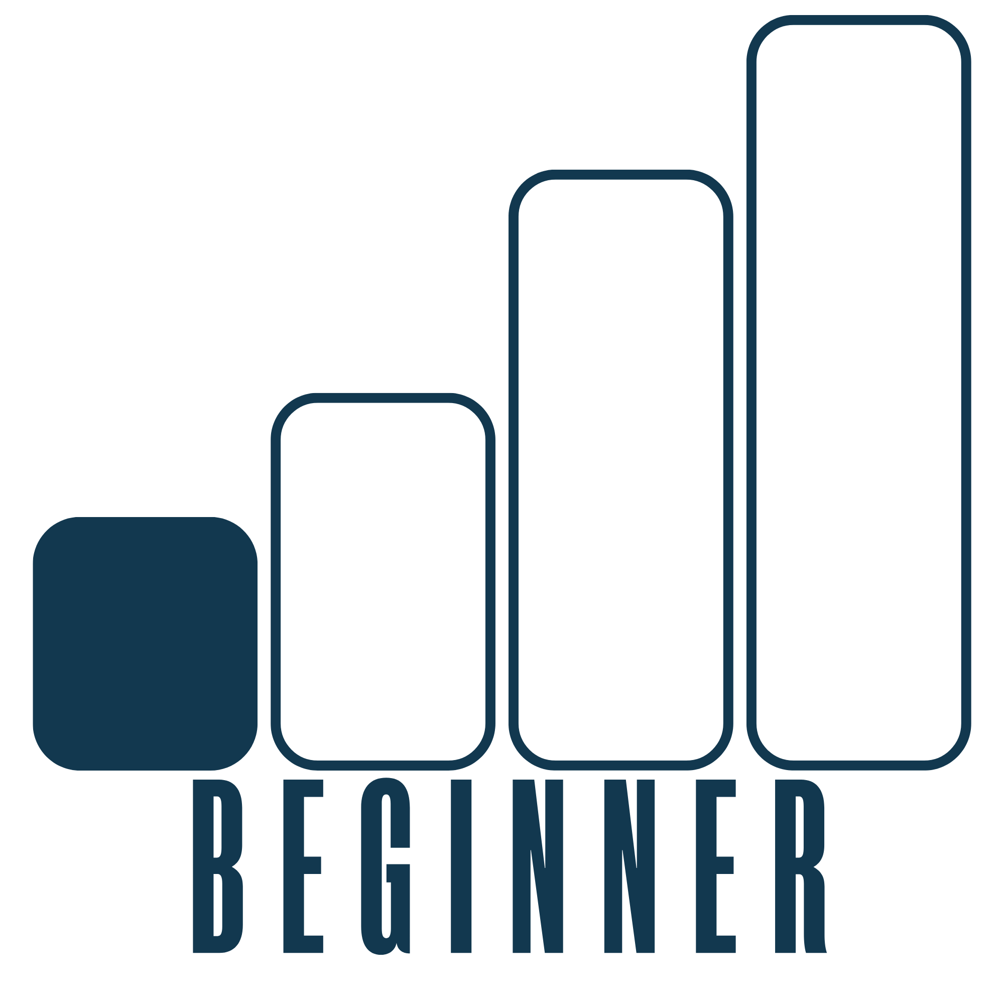 Illustration of a bar chart with four bars of increasing height, with the word 'BEGINNER' written underneath.